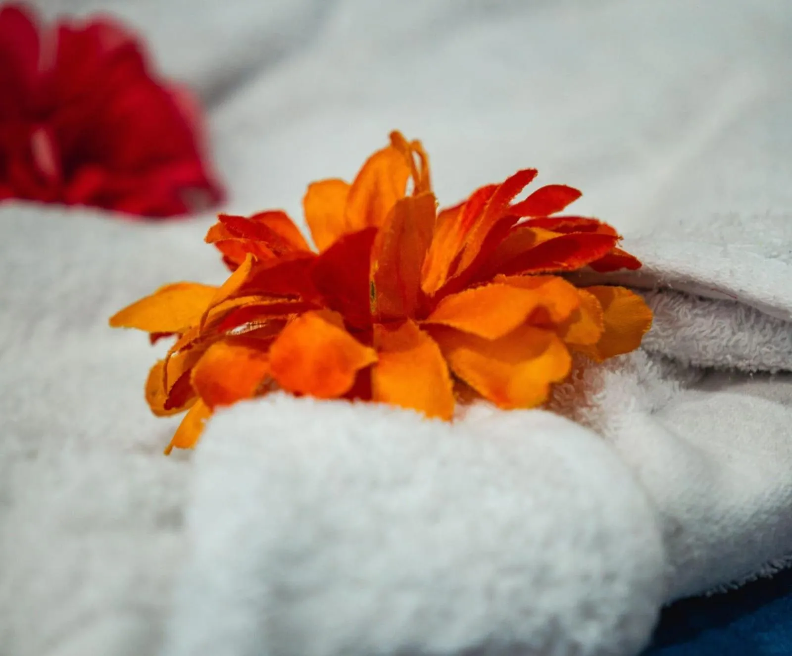 towels in Hotel deluxe oasis de la colina boutique