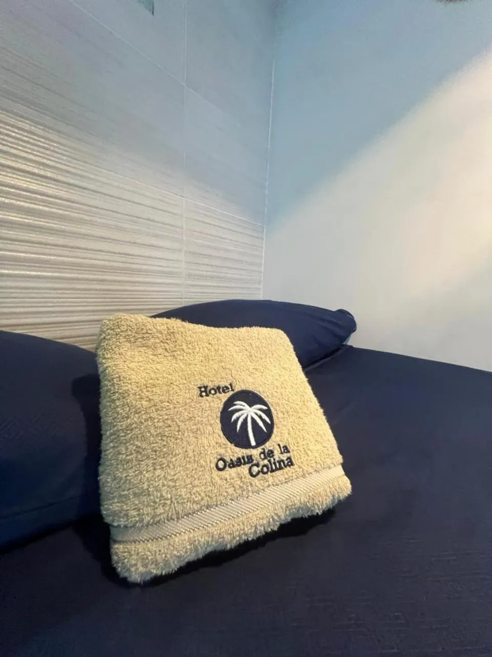 Bed in Hotel deluxe oasis de la colina boutique