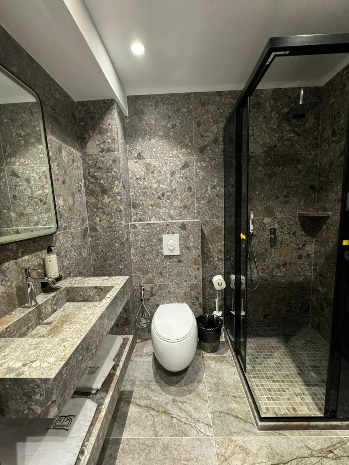 Toilet in Hotel Consul