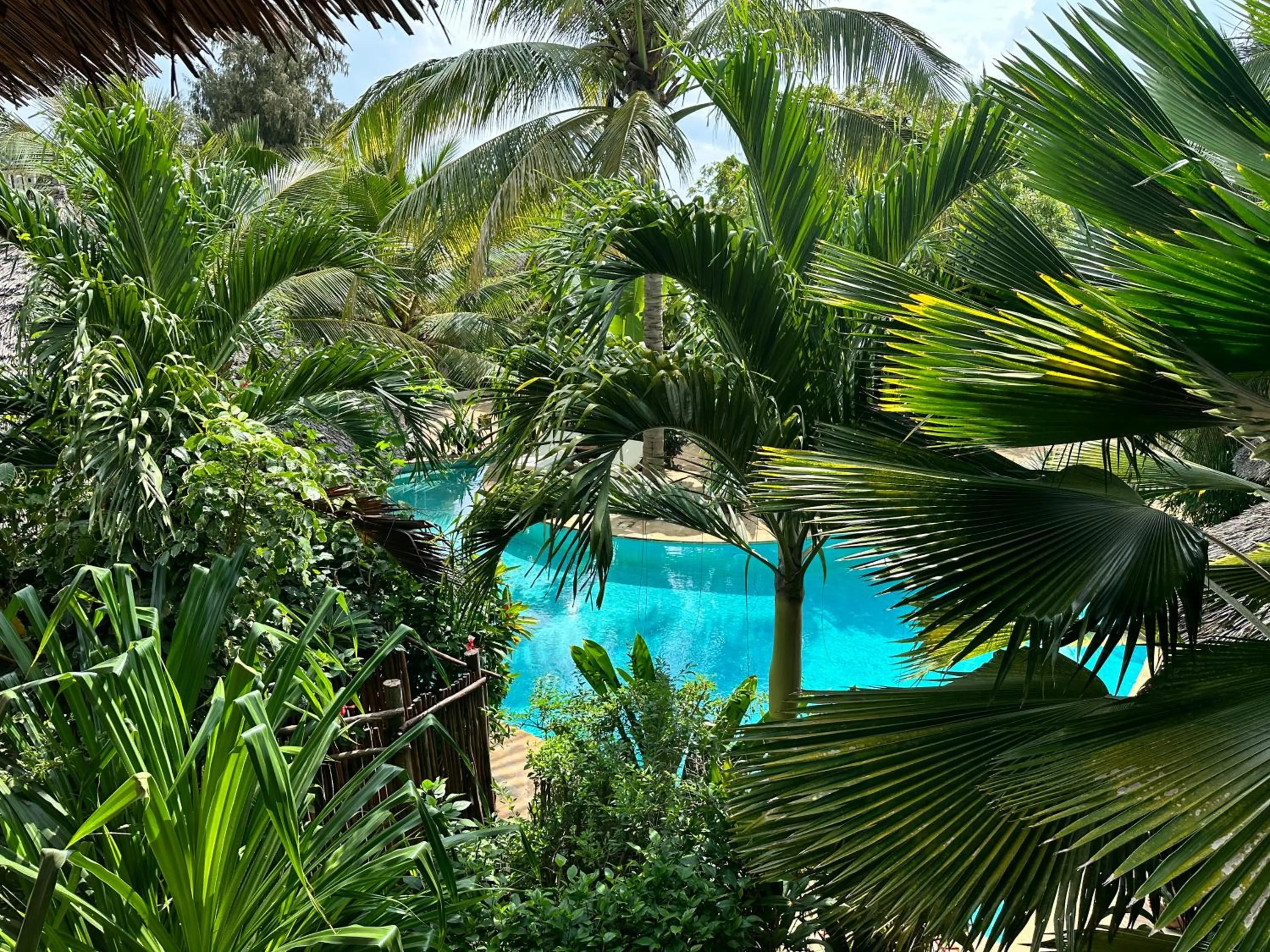Swimming pool in Maisha Nungwi - Boutique Hotel