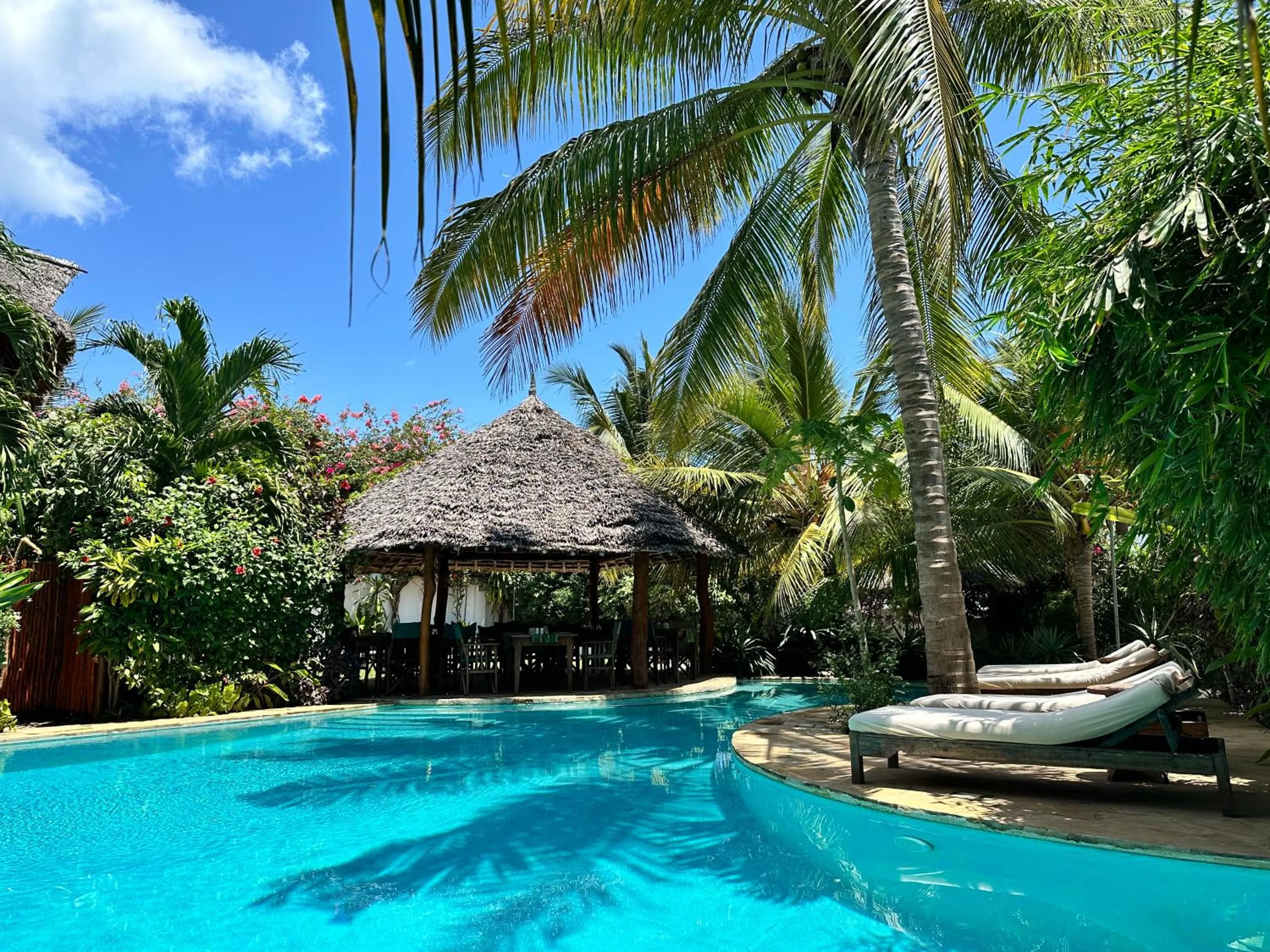 Restaurant/places to eat in Maisha Nungwi - Boutique Hotel