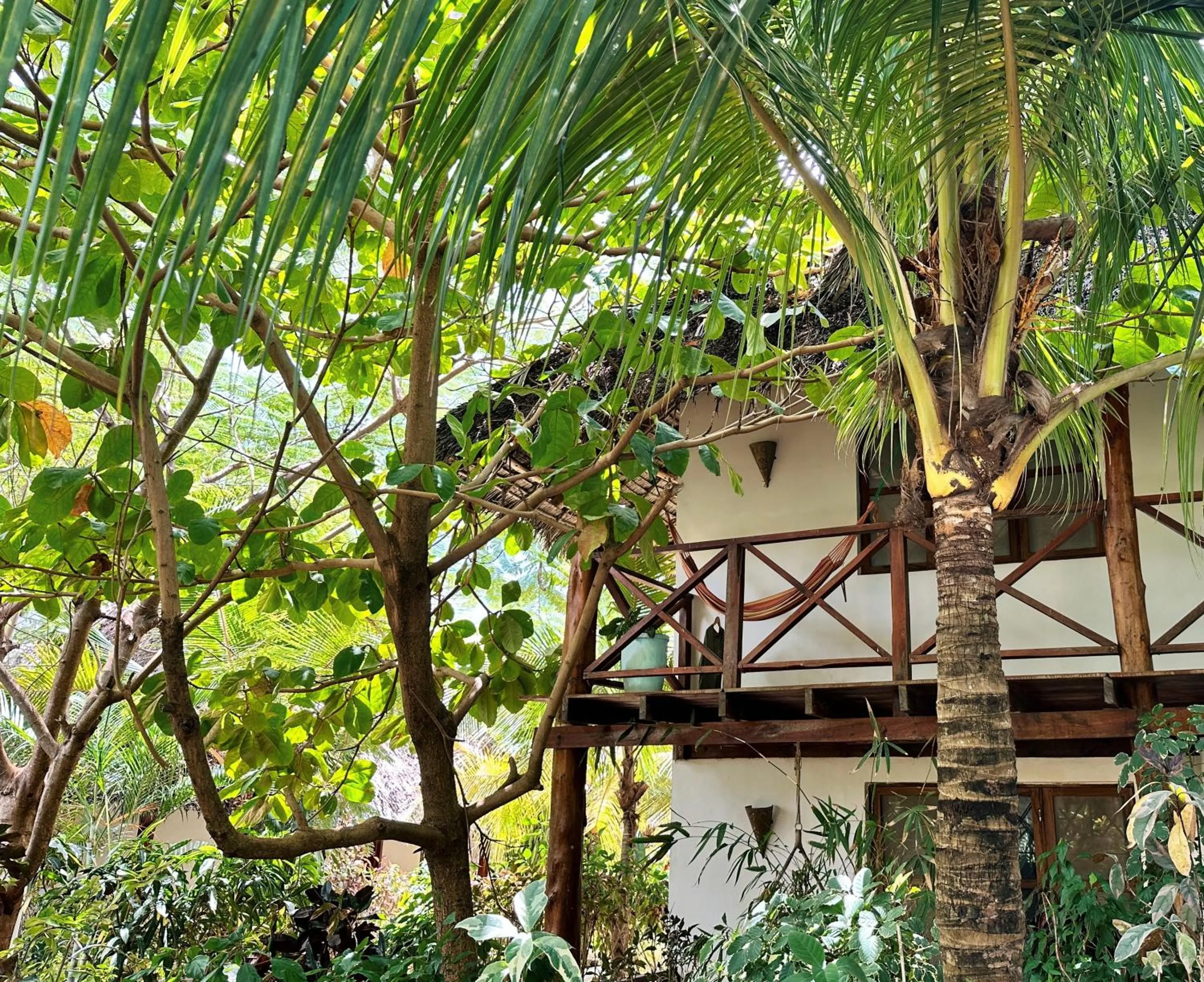 Property building in Maisha Nungwi - Boutique Hotel