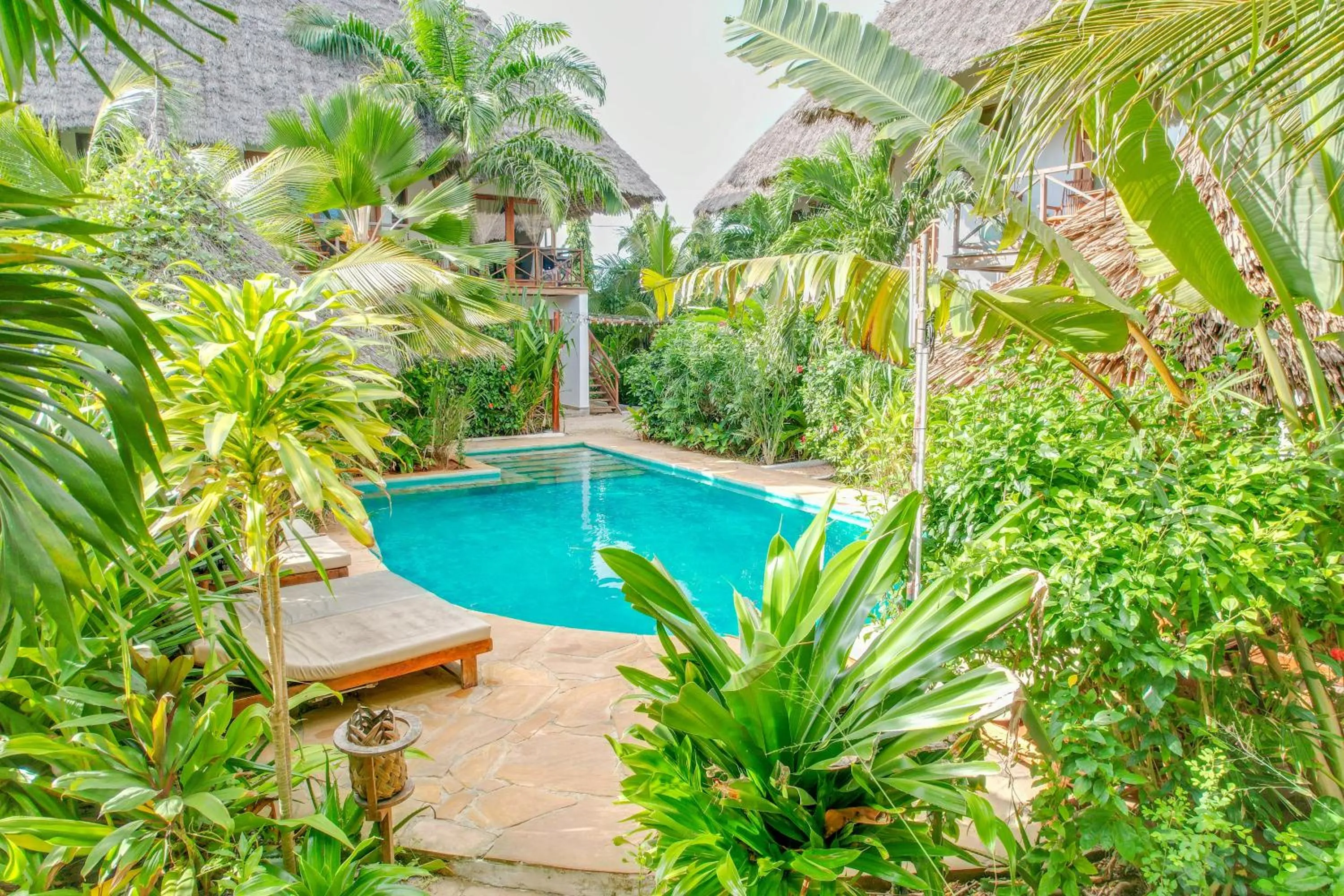 Property building in Maisha Nungwi - Boutique Hotel