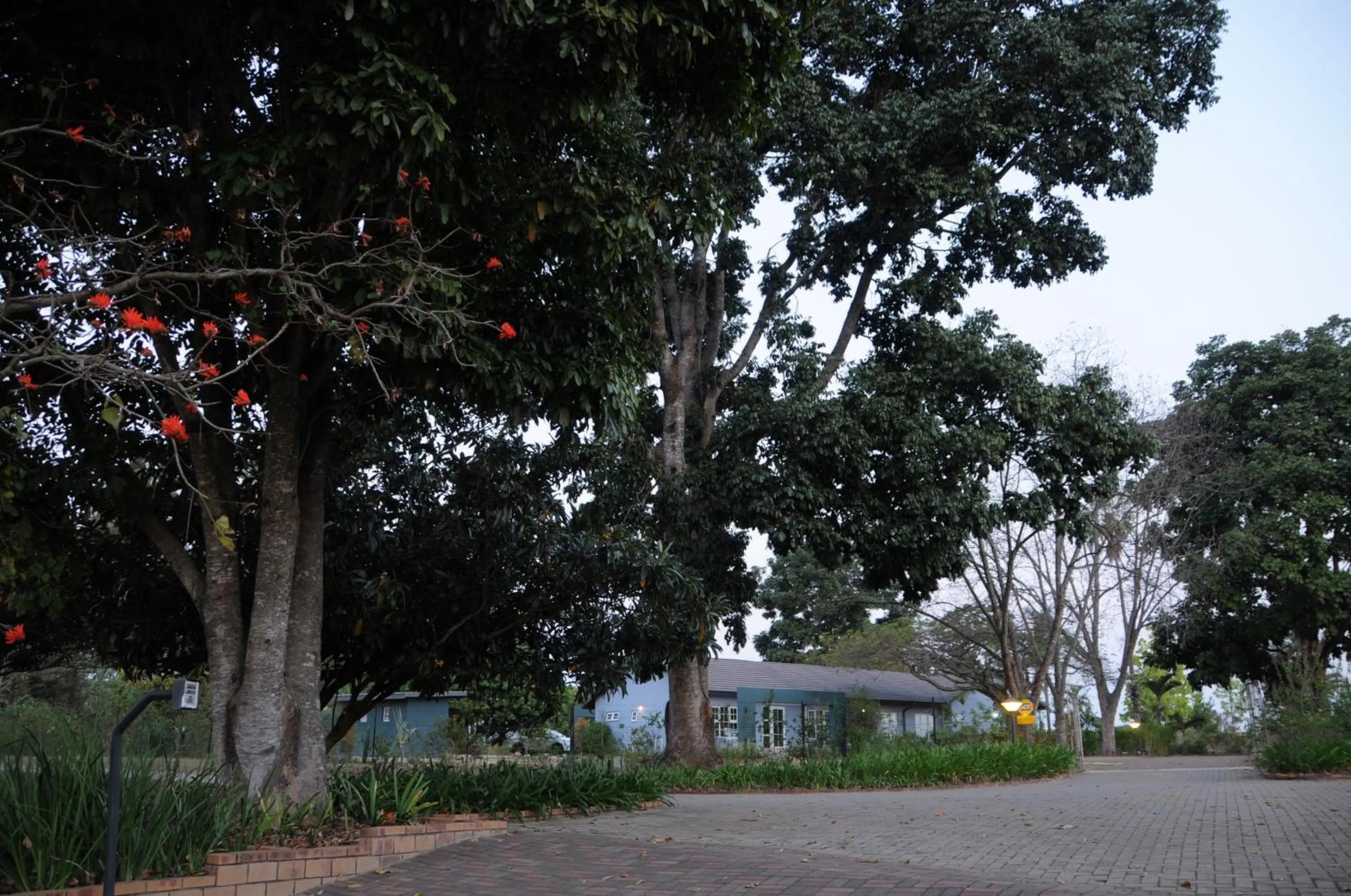 Garden in ilanda Guest House