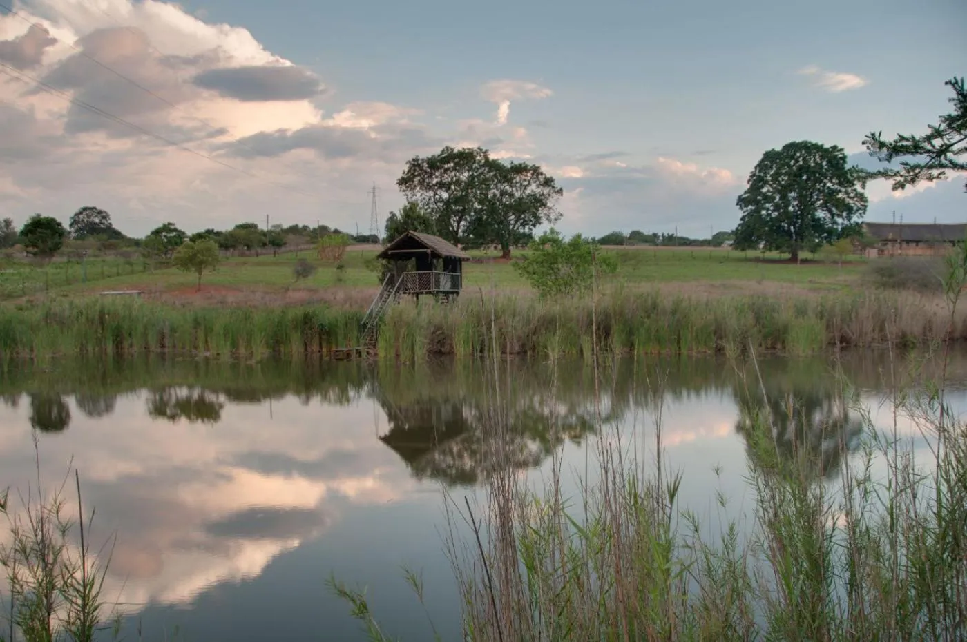 Garden in ilanda Guest House