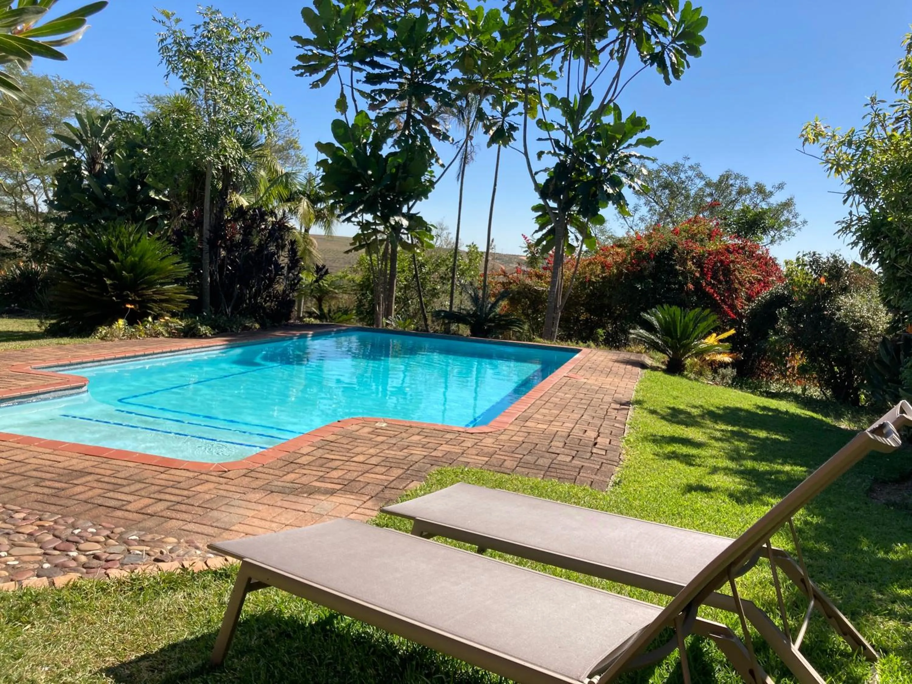 Garden in ilanda Guest House