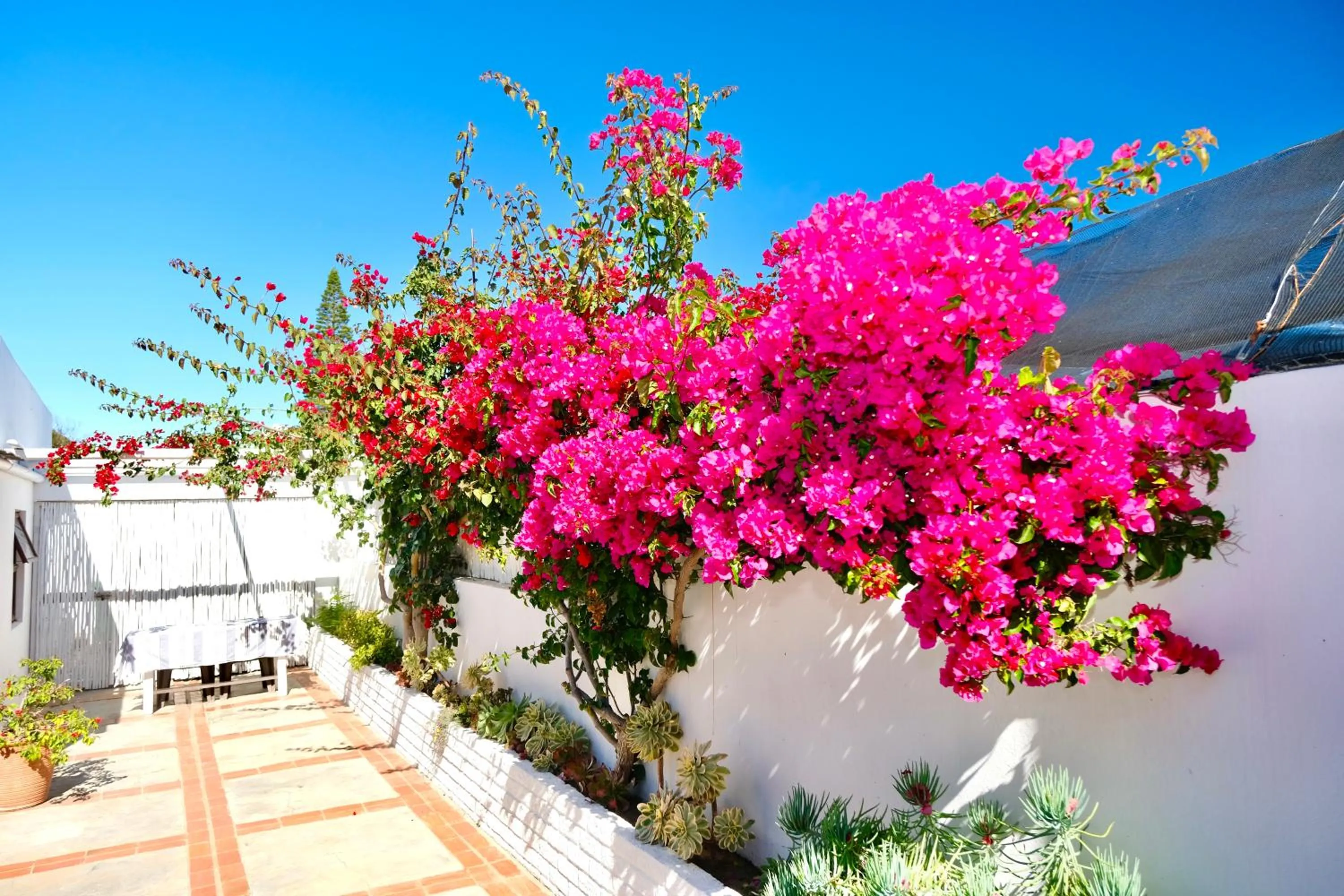 Garden view in Paternoster Place