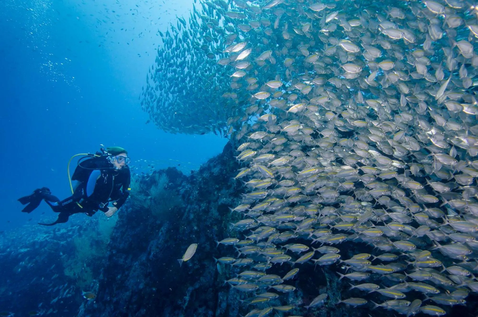 Diving in Woodlawn Villas Resort