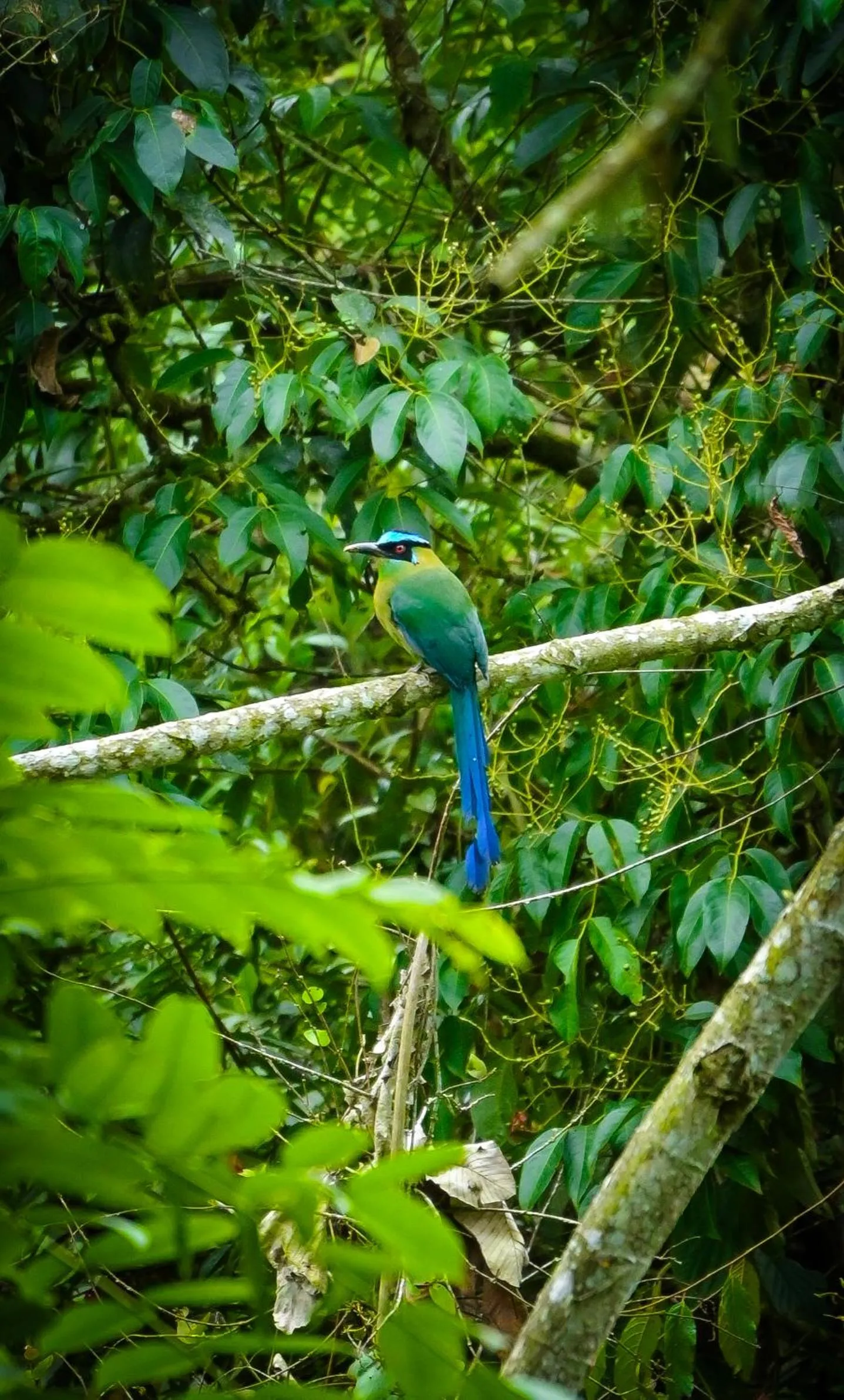 Garden in Hotel Vísperas