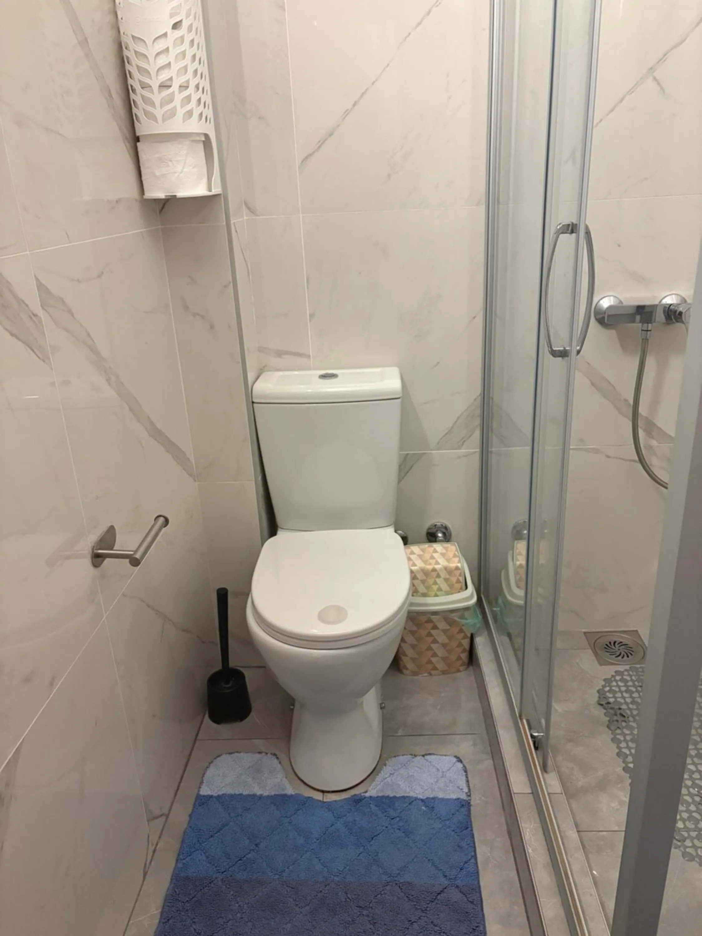 Shower in Apartments Sat