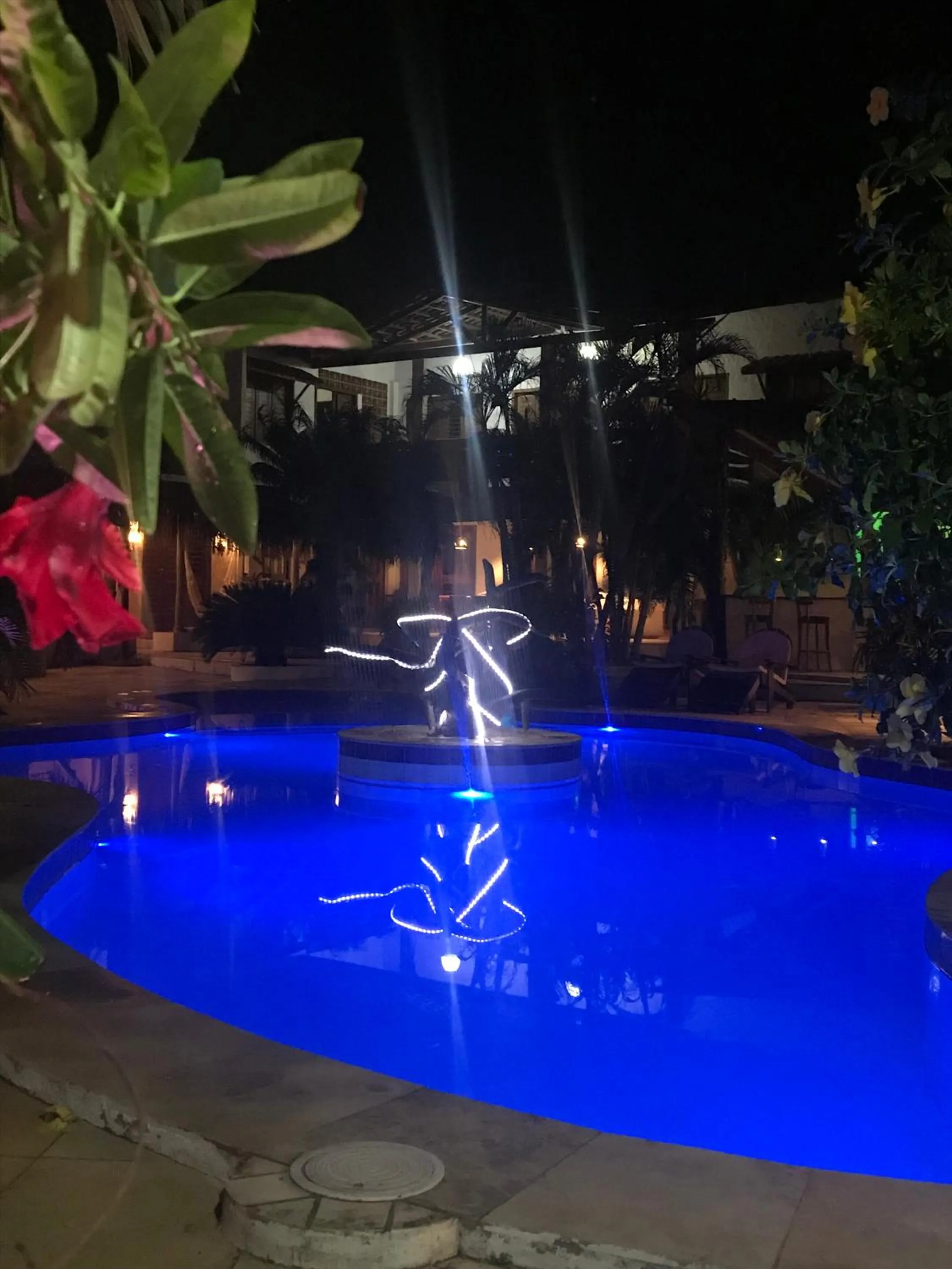 Garden in Hotel Pousada 360