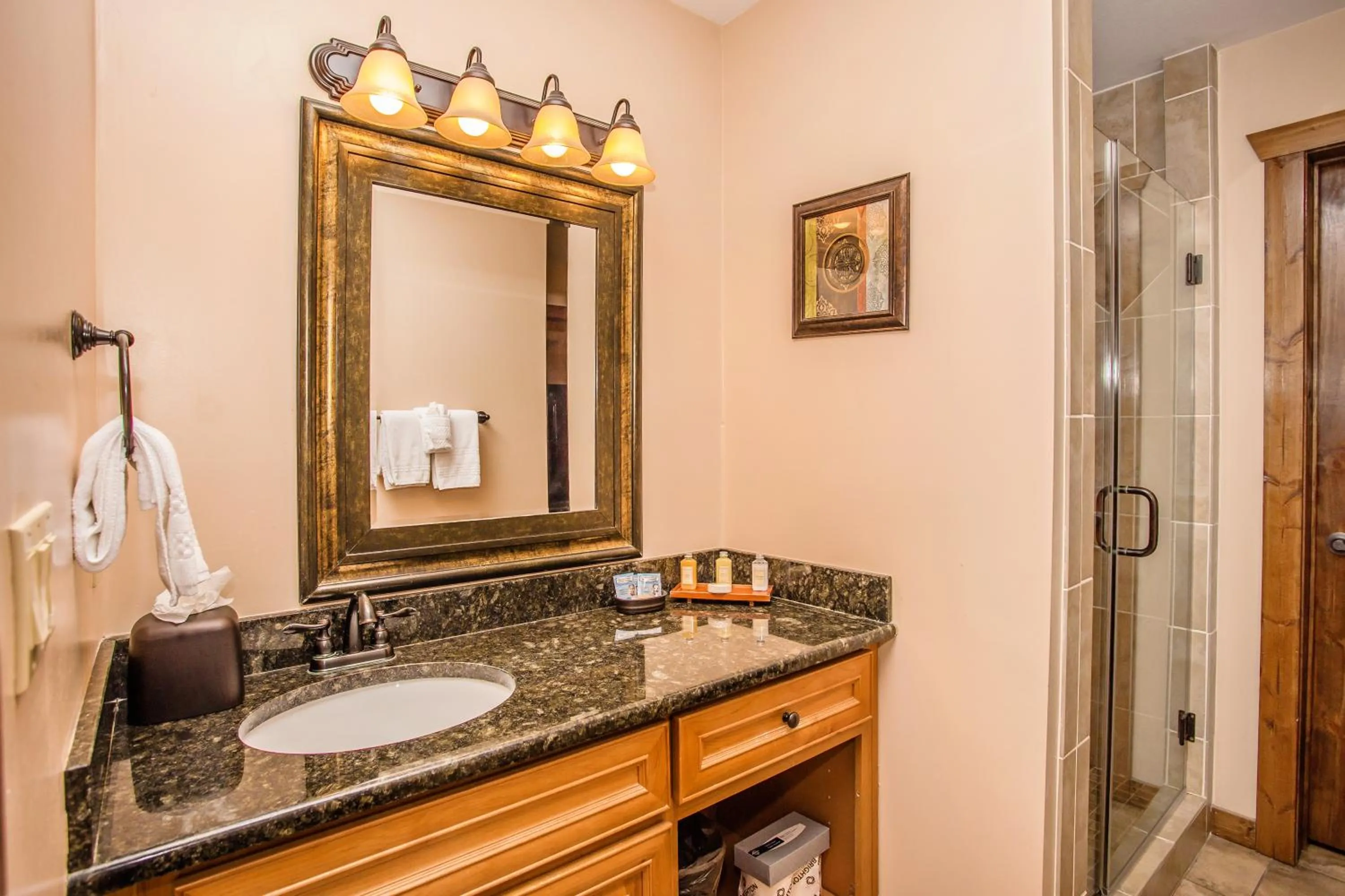 Bathroom in The Lodges of the Great Smoky Mountains