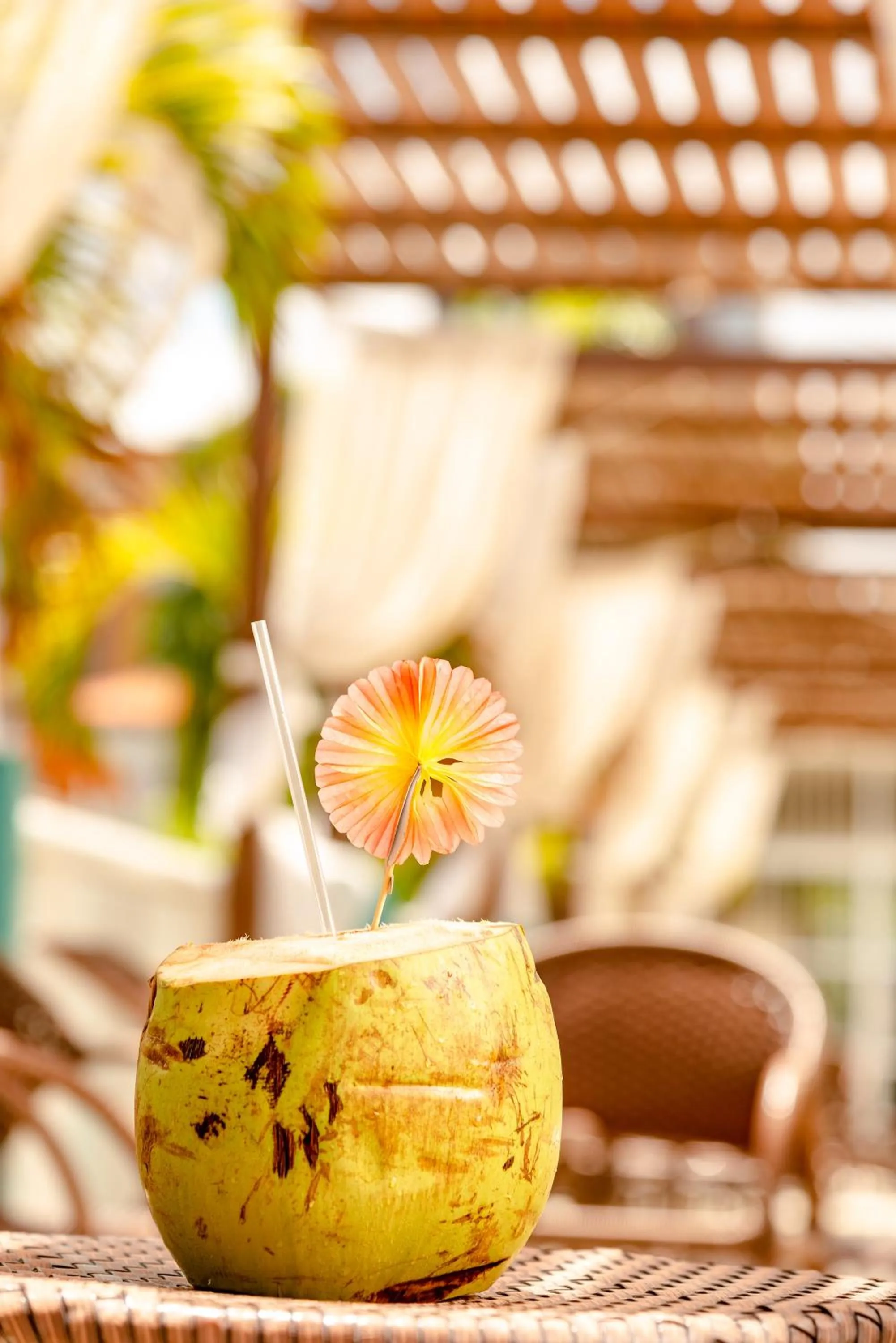 Lounge or bar in Oasis Imperial & Fortaleza