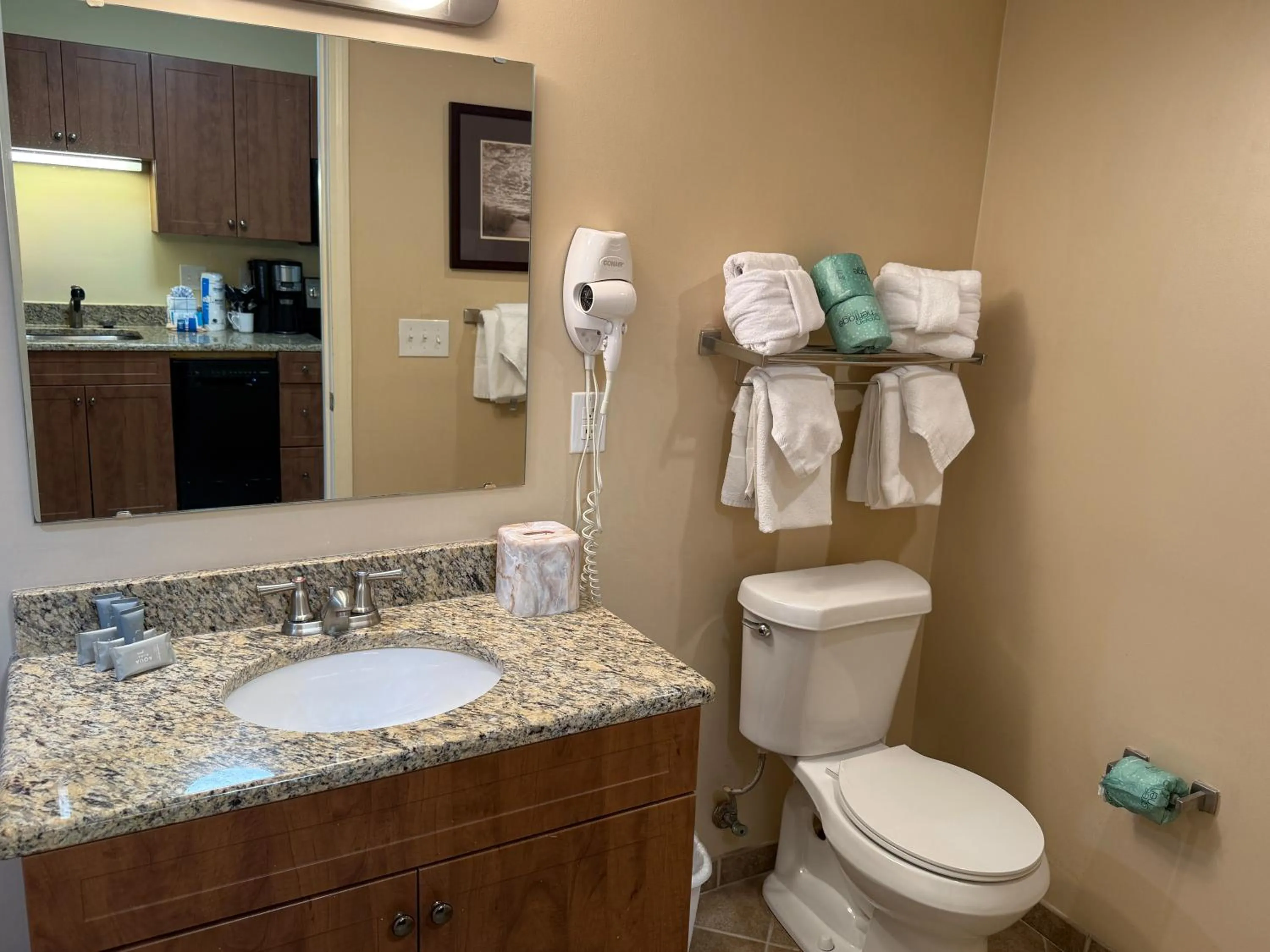 Bathroom in Towers at North Myrtle Beach