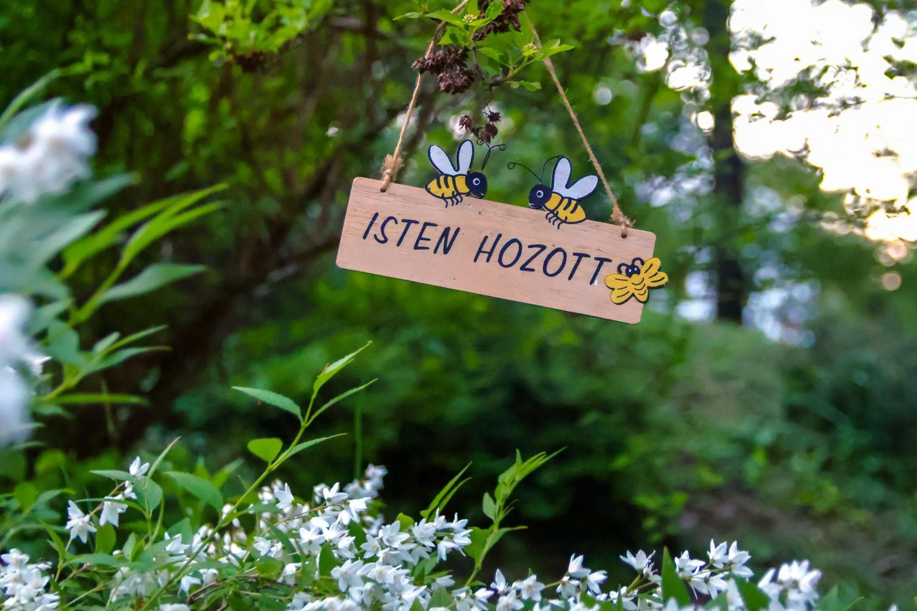 Keresztkúti Erdei Pihenőhely
