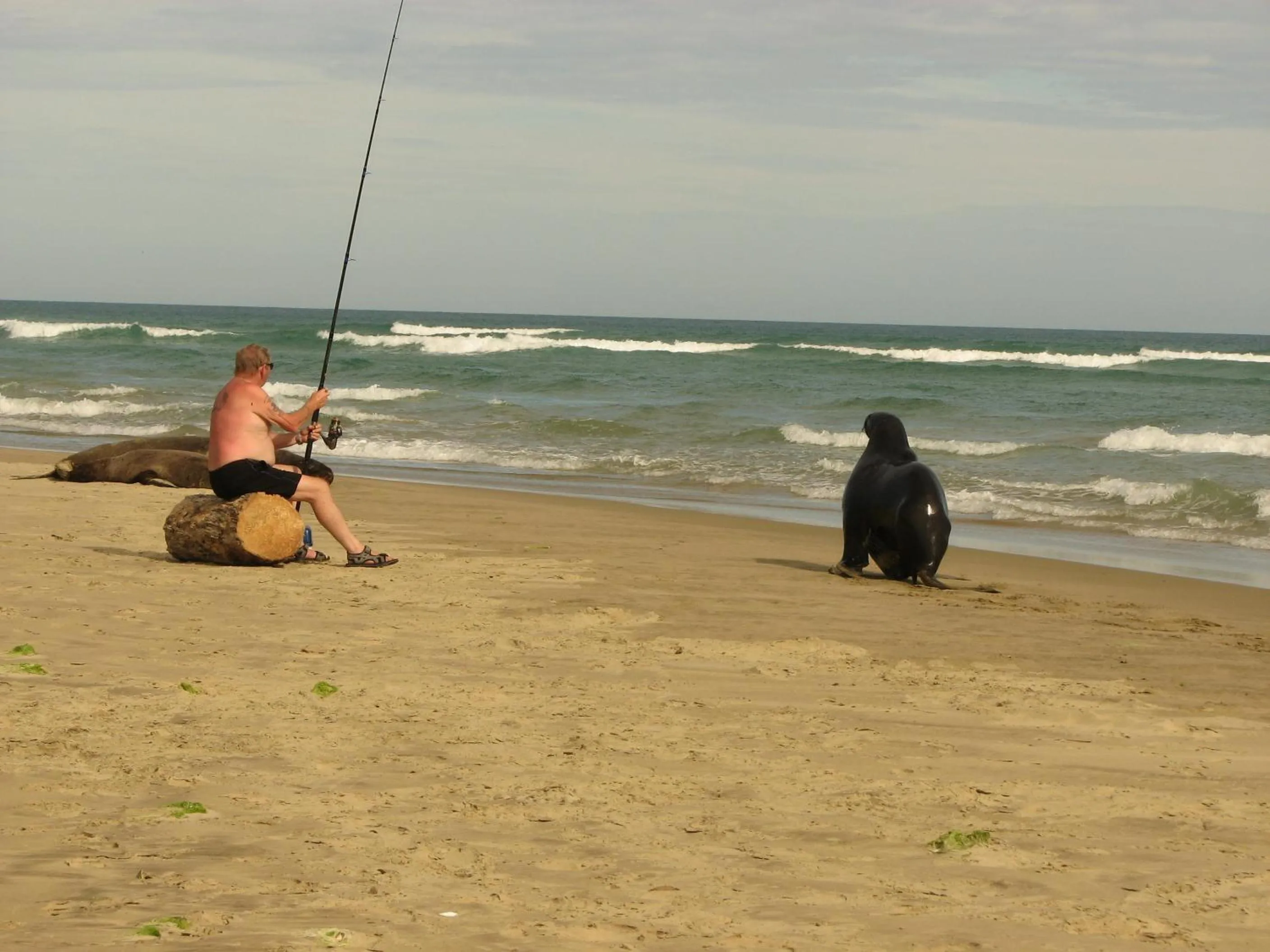 Fishing in Catlins Newhaven Holiday Park