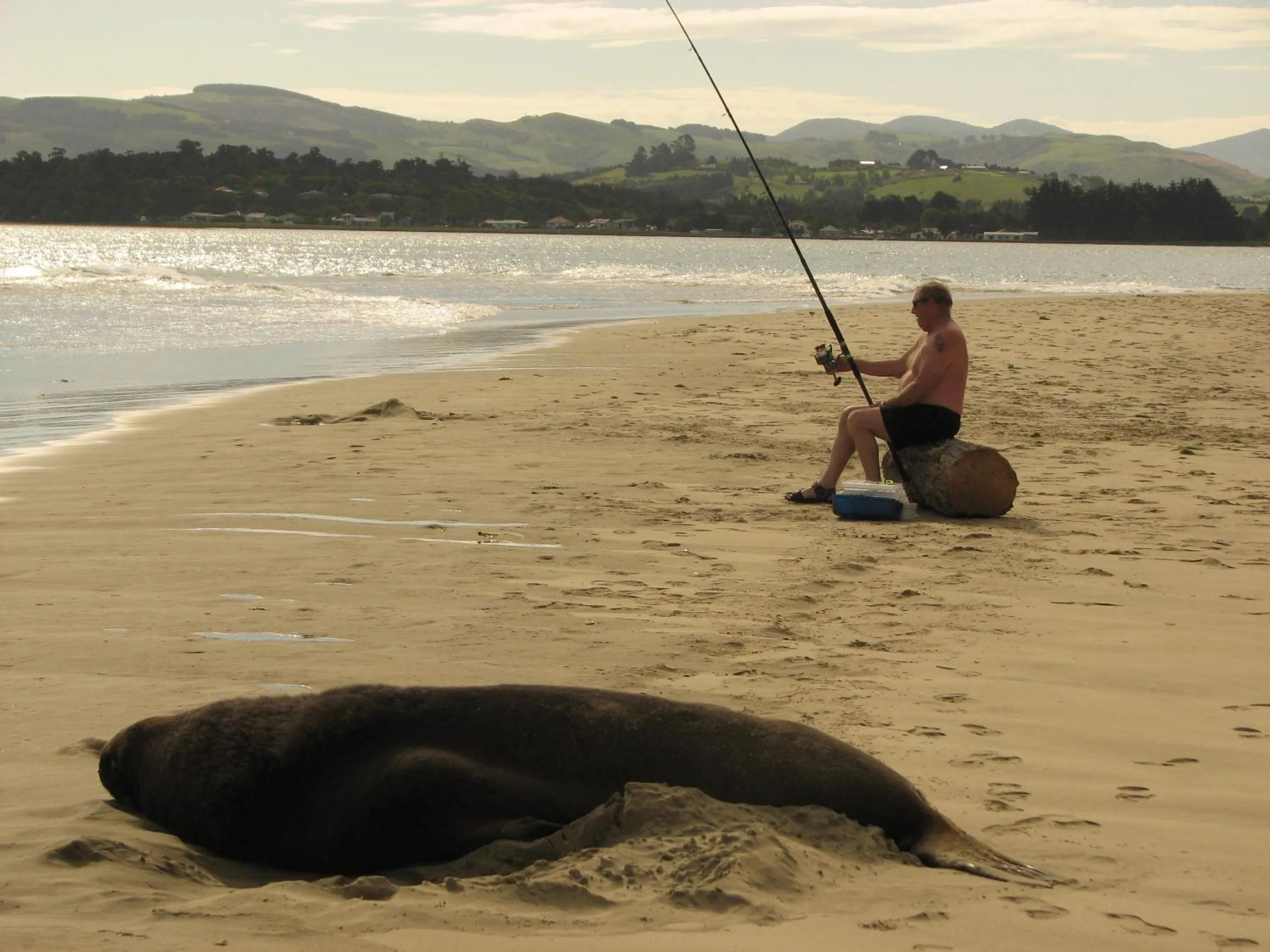Fishing in Catlins Newhaven Holiday Park