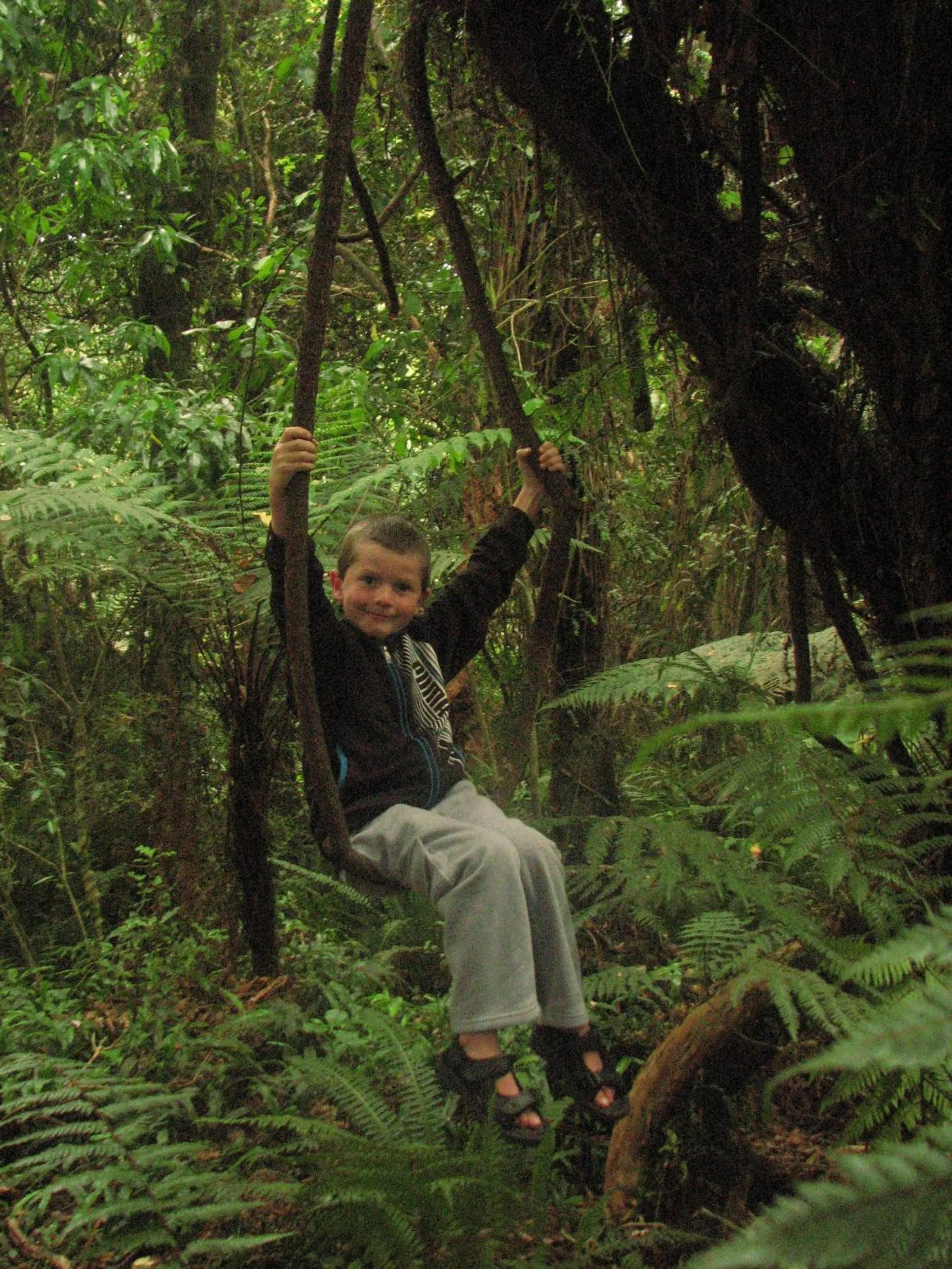 Natural landscape in Catlins Newhaven Holiday Park