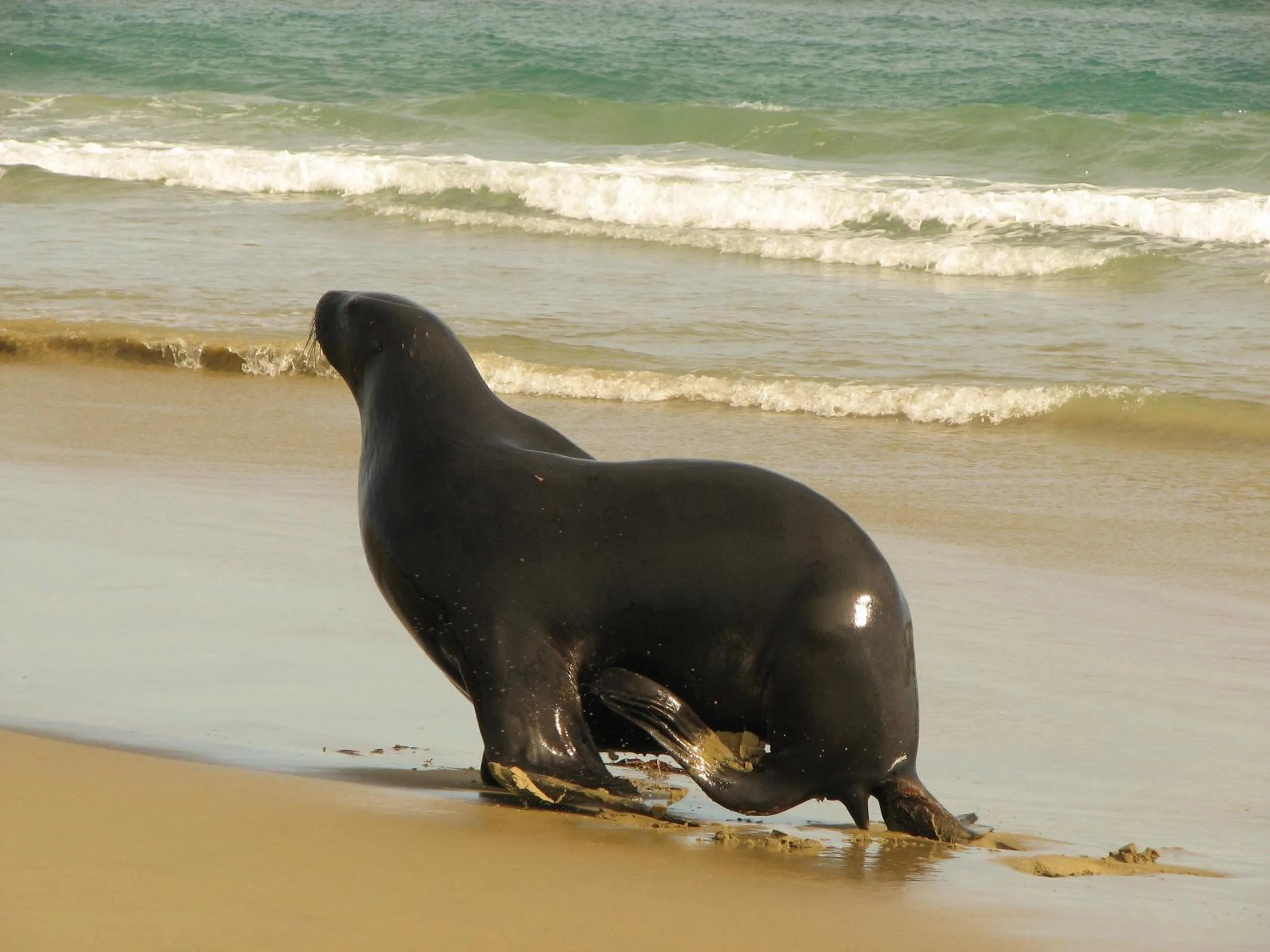 Natural landscape in Catlins Newhaven Holiday Park