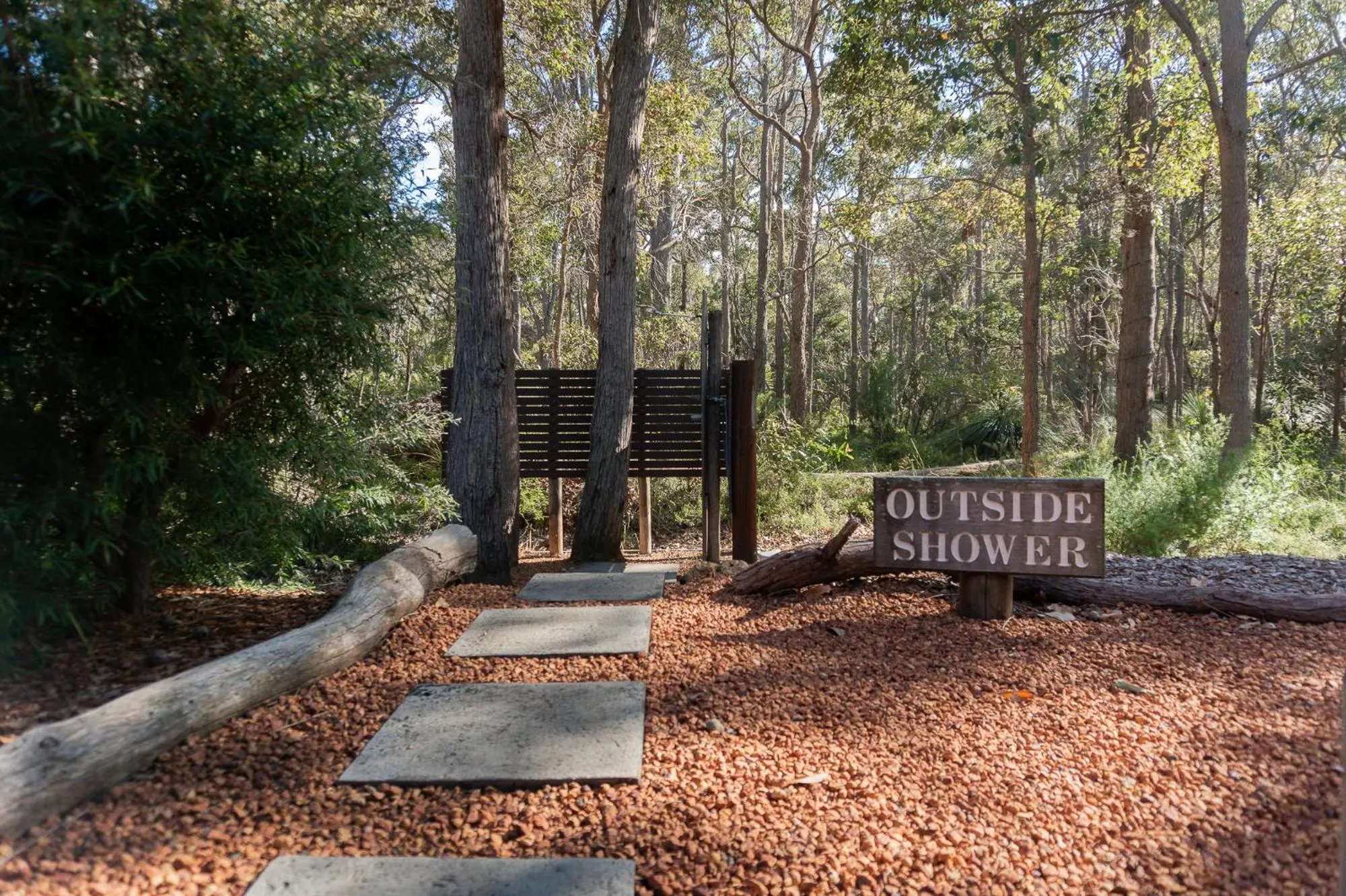 Day in Forest Rise Chalets and Lodge