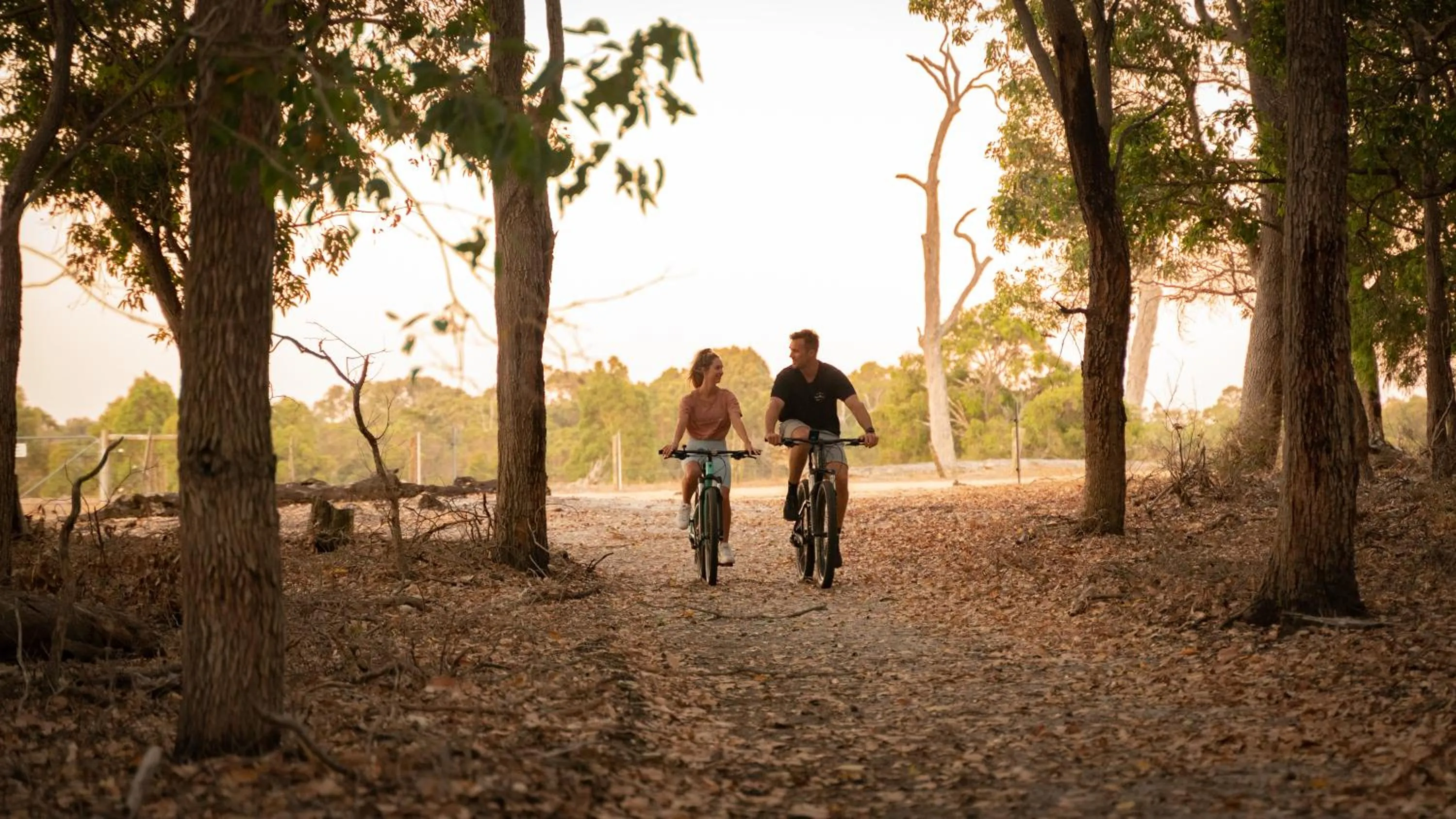 Cycling in Forest Rise Chalets and Lodge