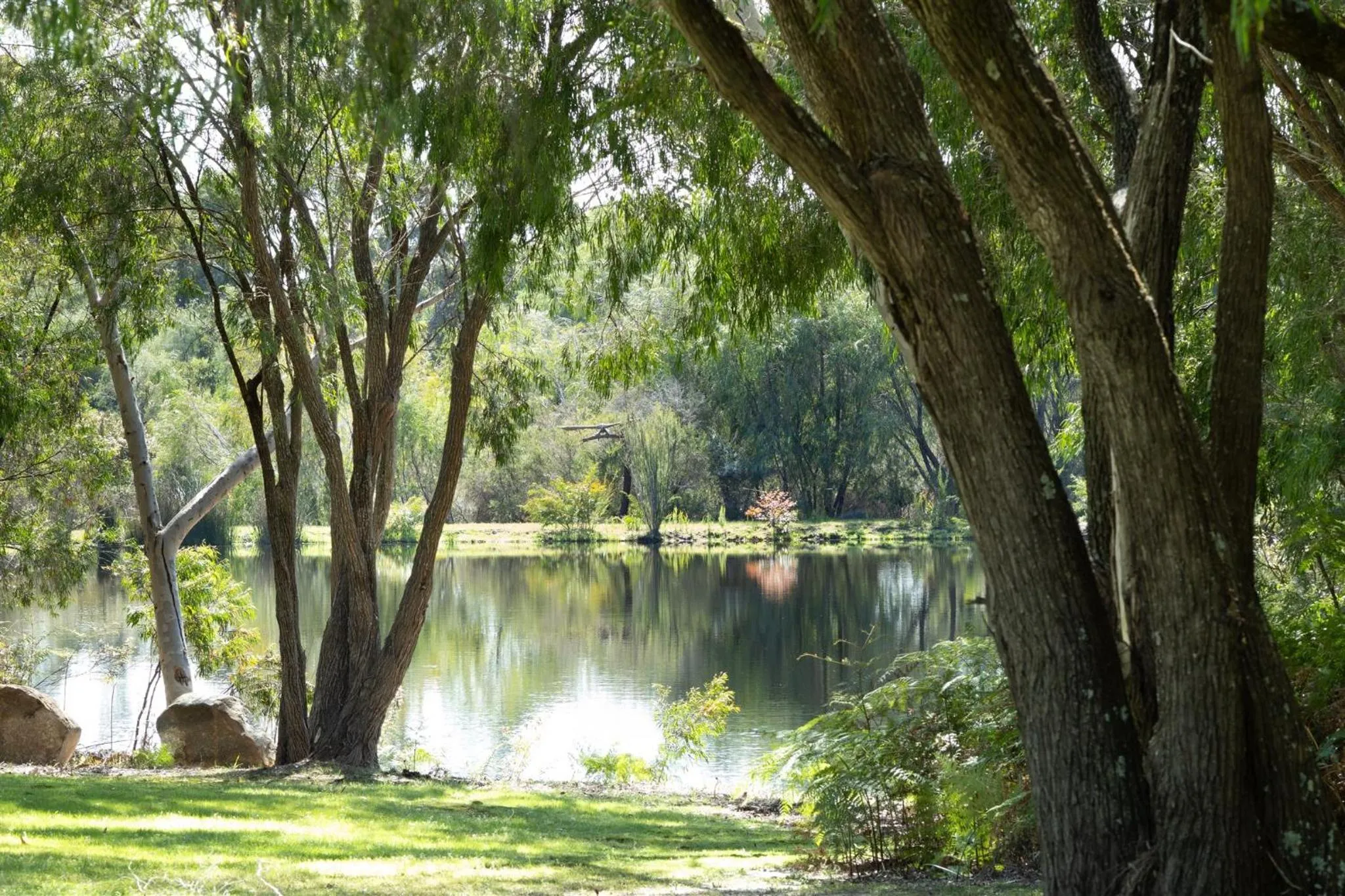Natural landscape in Forest Rise Chalets and Lodge