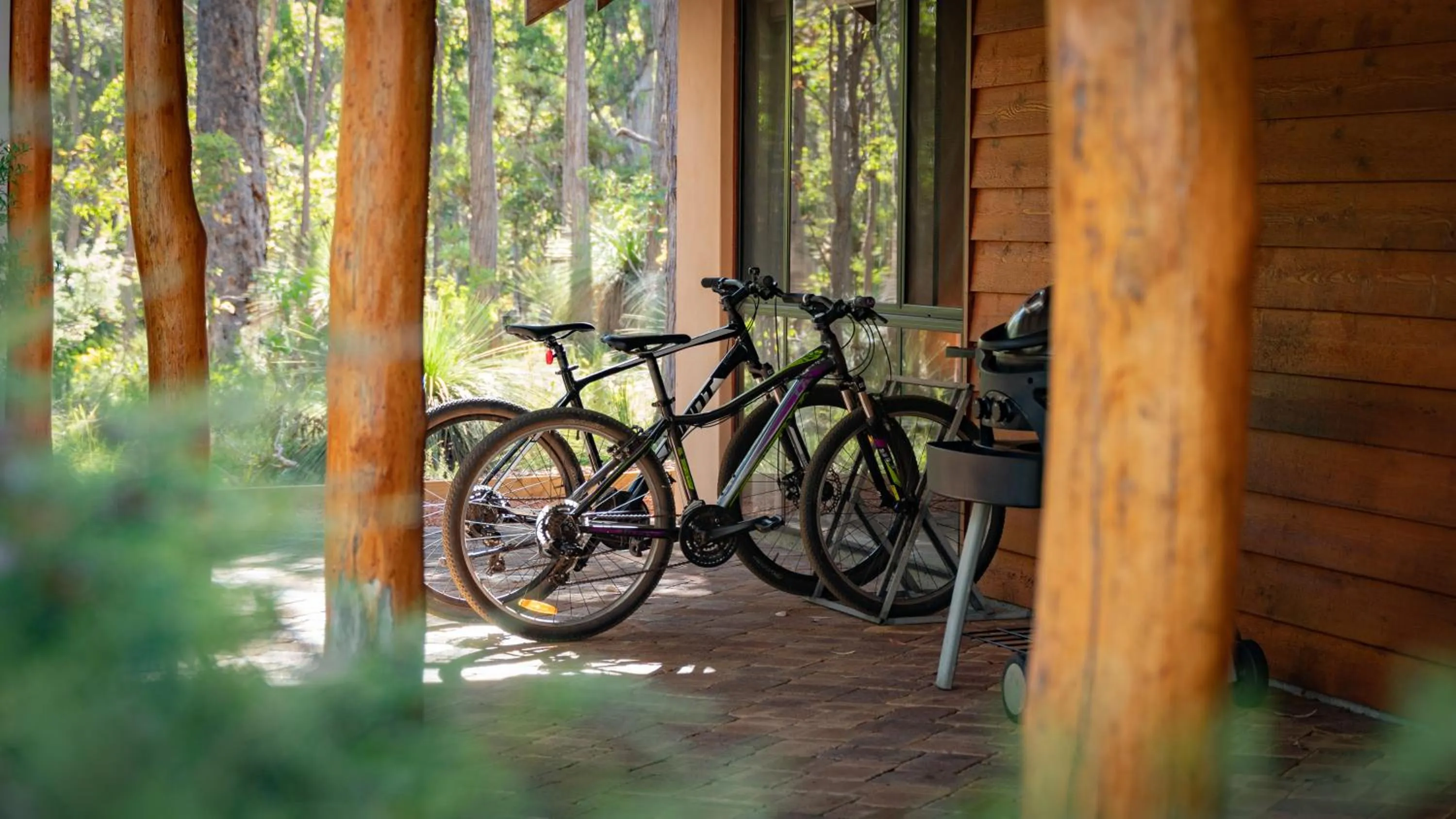 Day in Forest Rise Chalets and Lodge