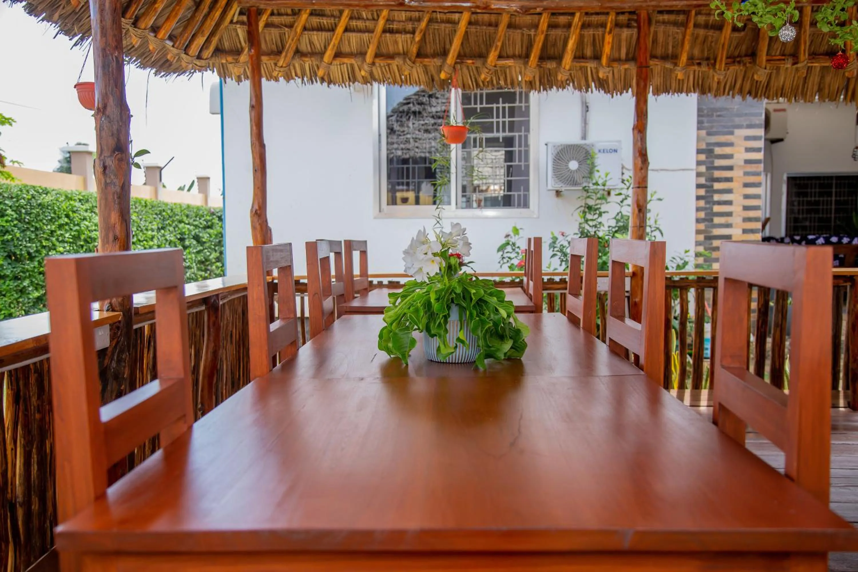 Patio in La Casa Preciosa in Tanga