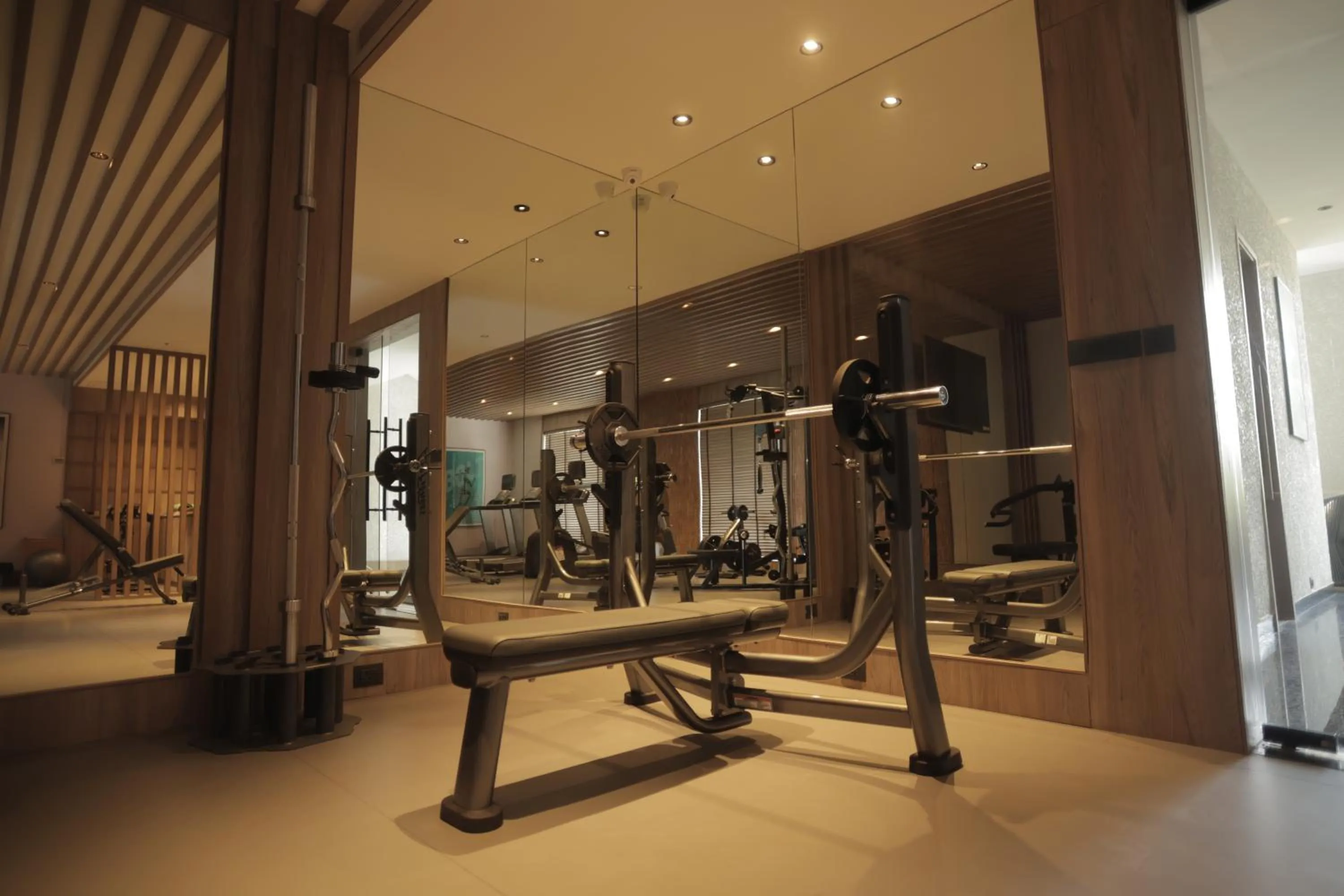 Fitness centre/facilities in Radisson Resort Hatgad Saputara