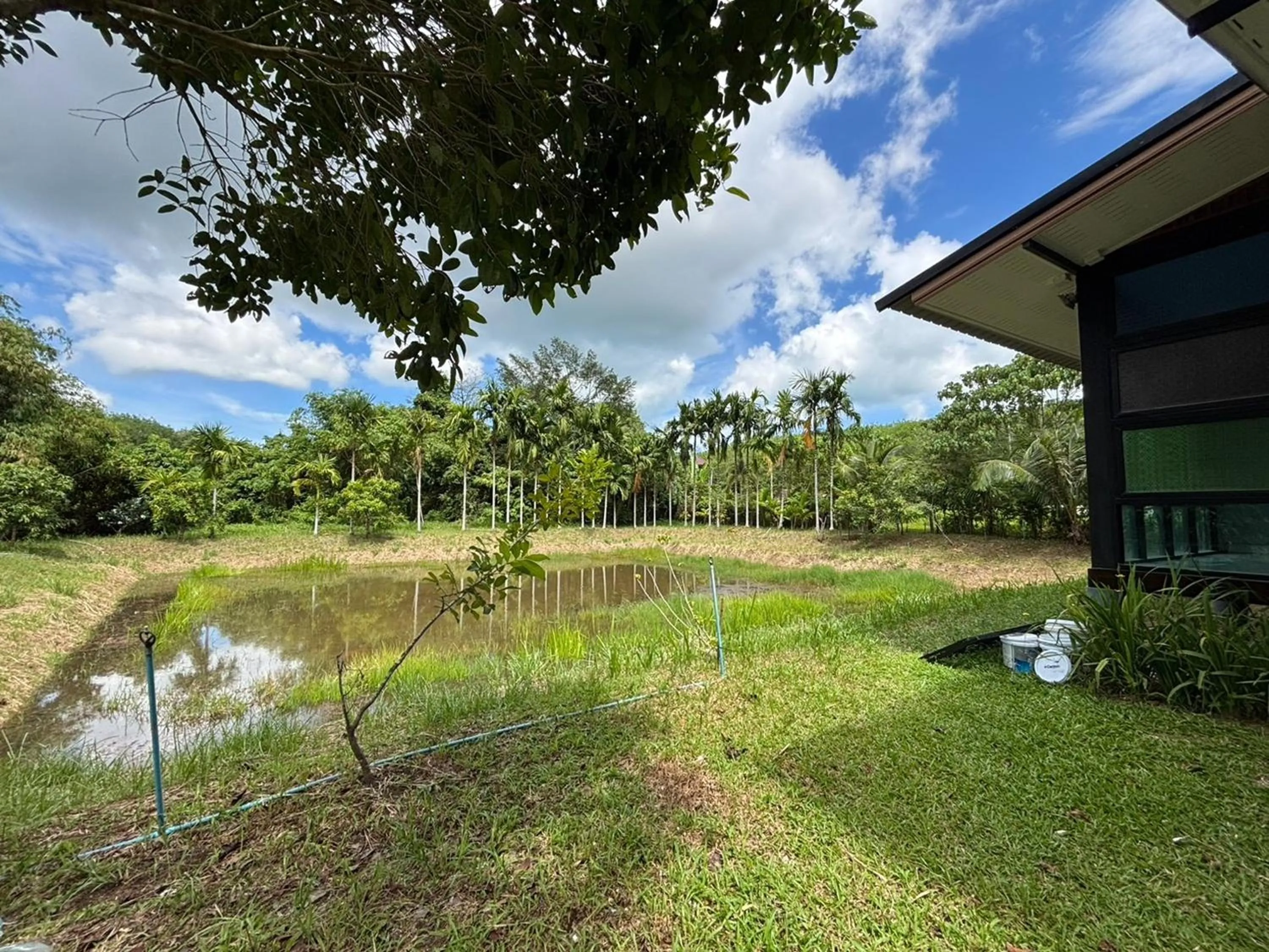 Property building in Moonlight Cottage