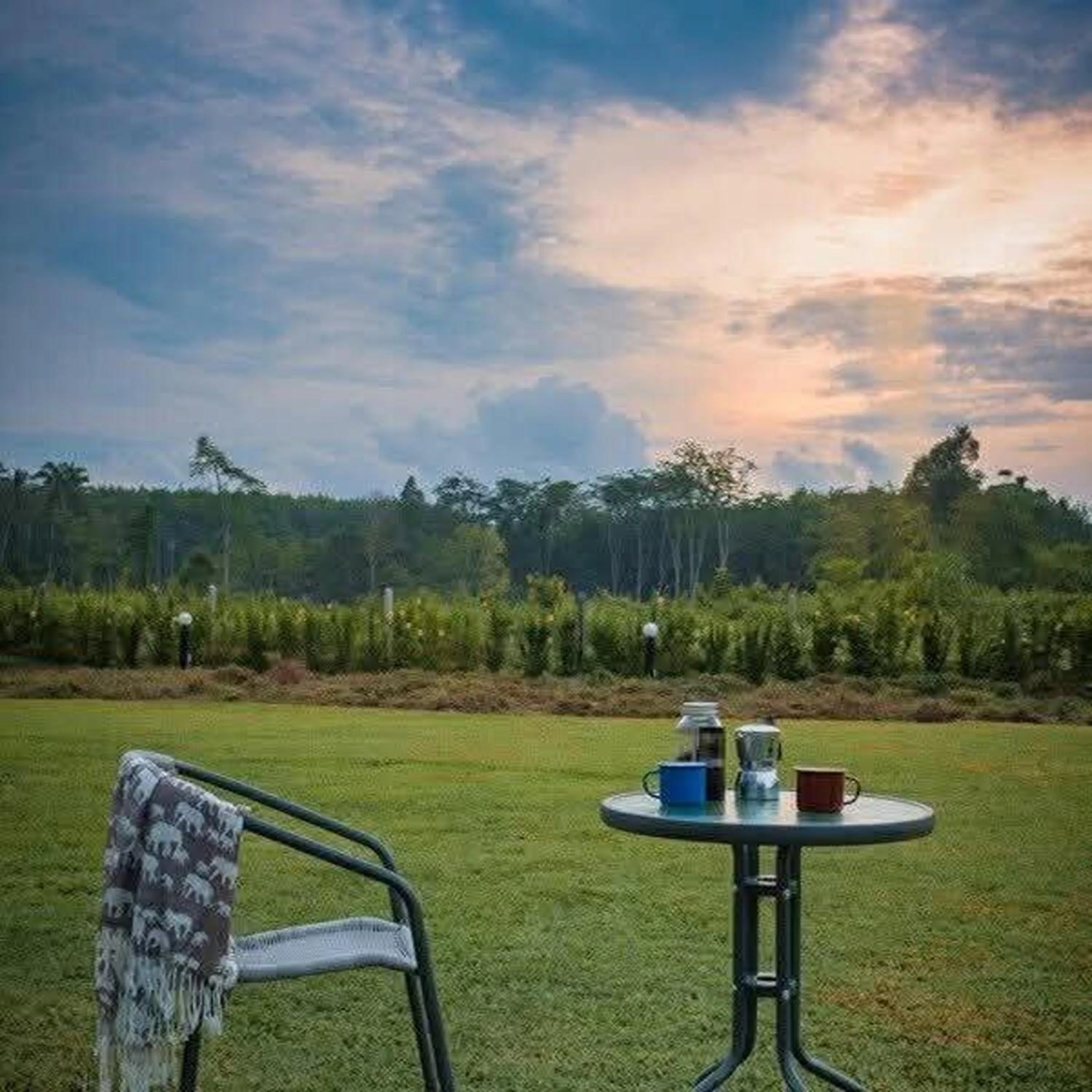 Garden view in Moonlight Cottage
