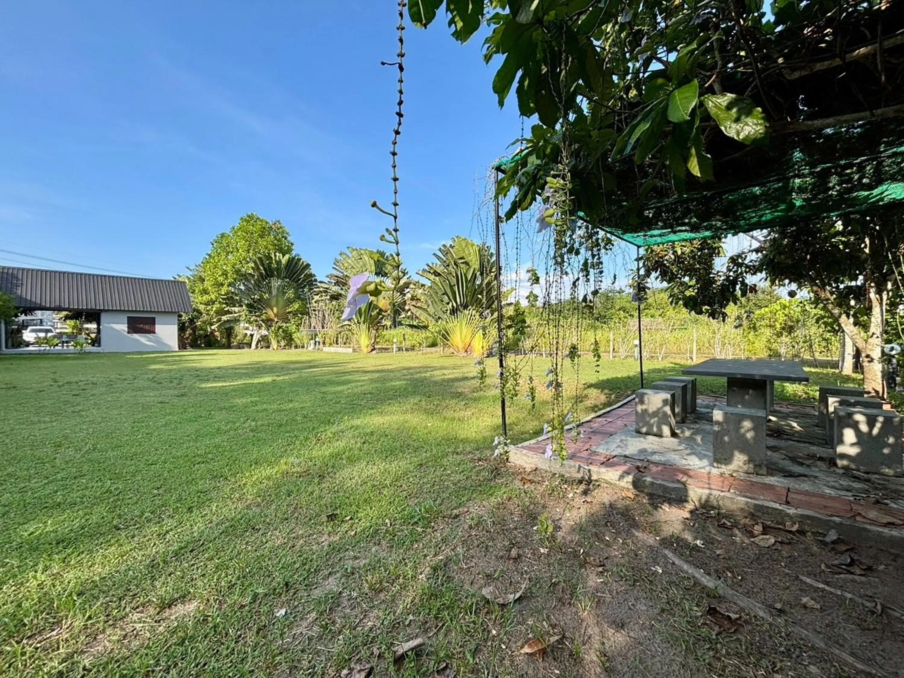 Natural landscape in Moonlight Cottage