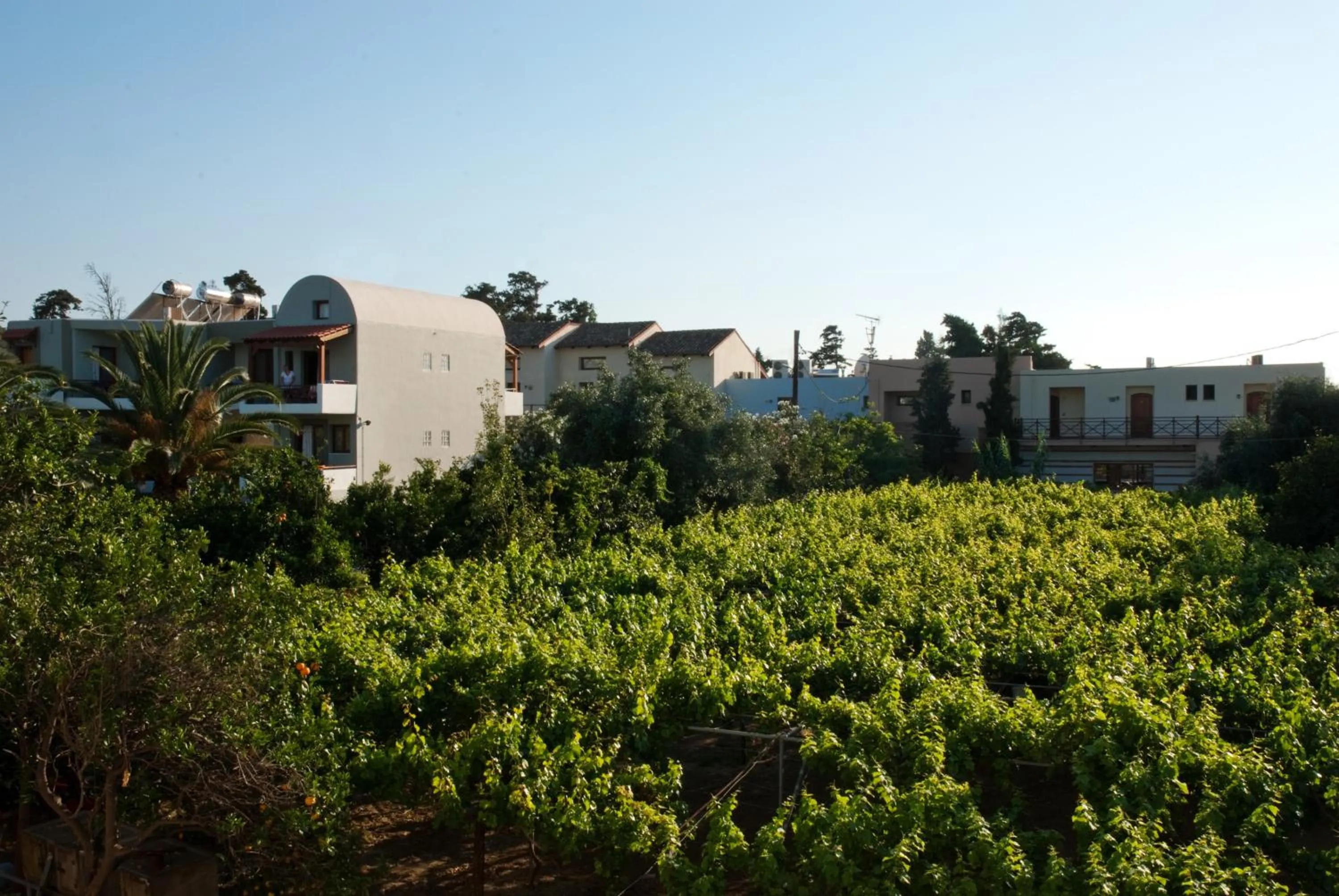 Garden in Casa Maria Hotel Apts