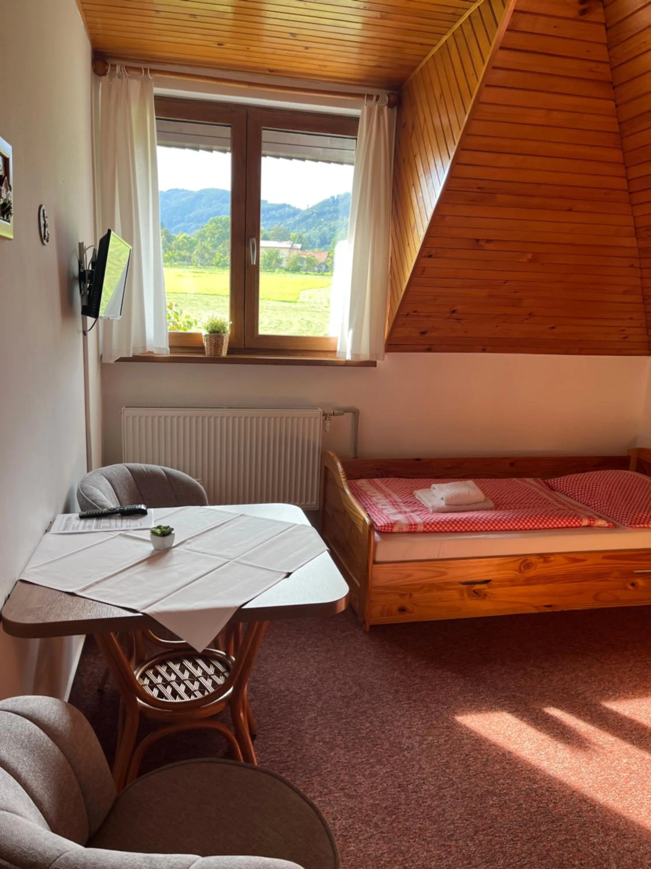 Twin Room - single occupancy in Penzion Na Vyhlídce
