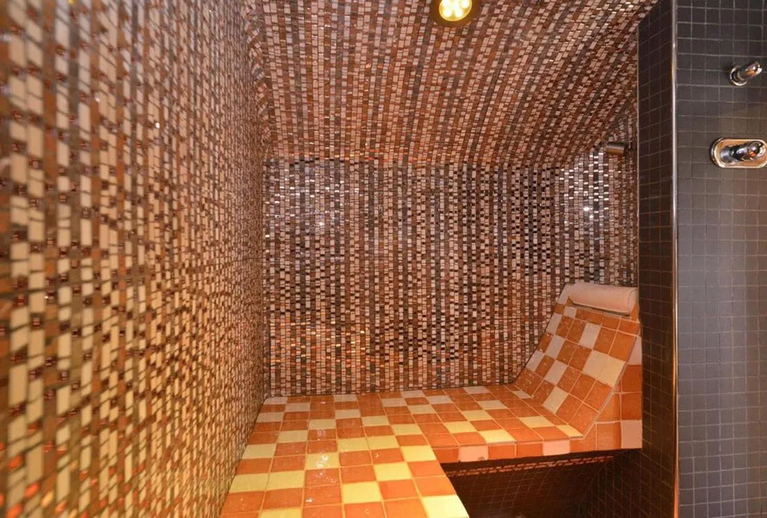 Steam room in Hôtel Les Chalets de Philippe avec Jacuzzis Privatifs