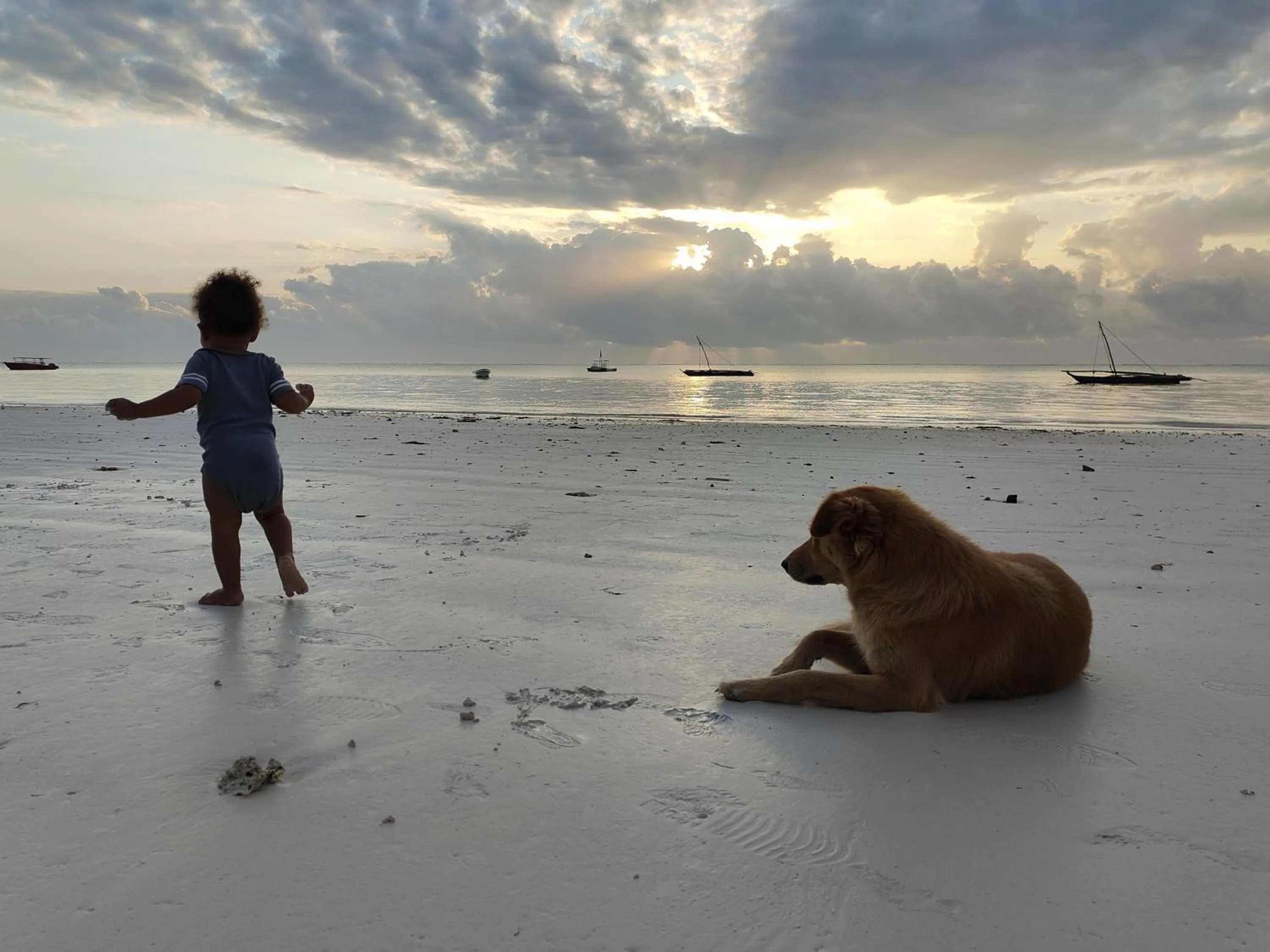 Beach in Paje By Night Bungalows