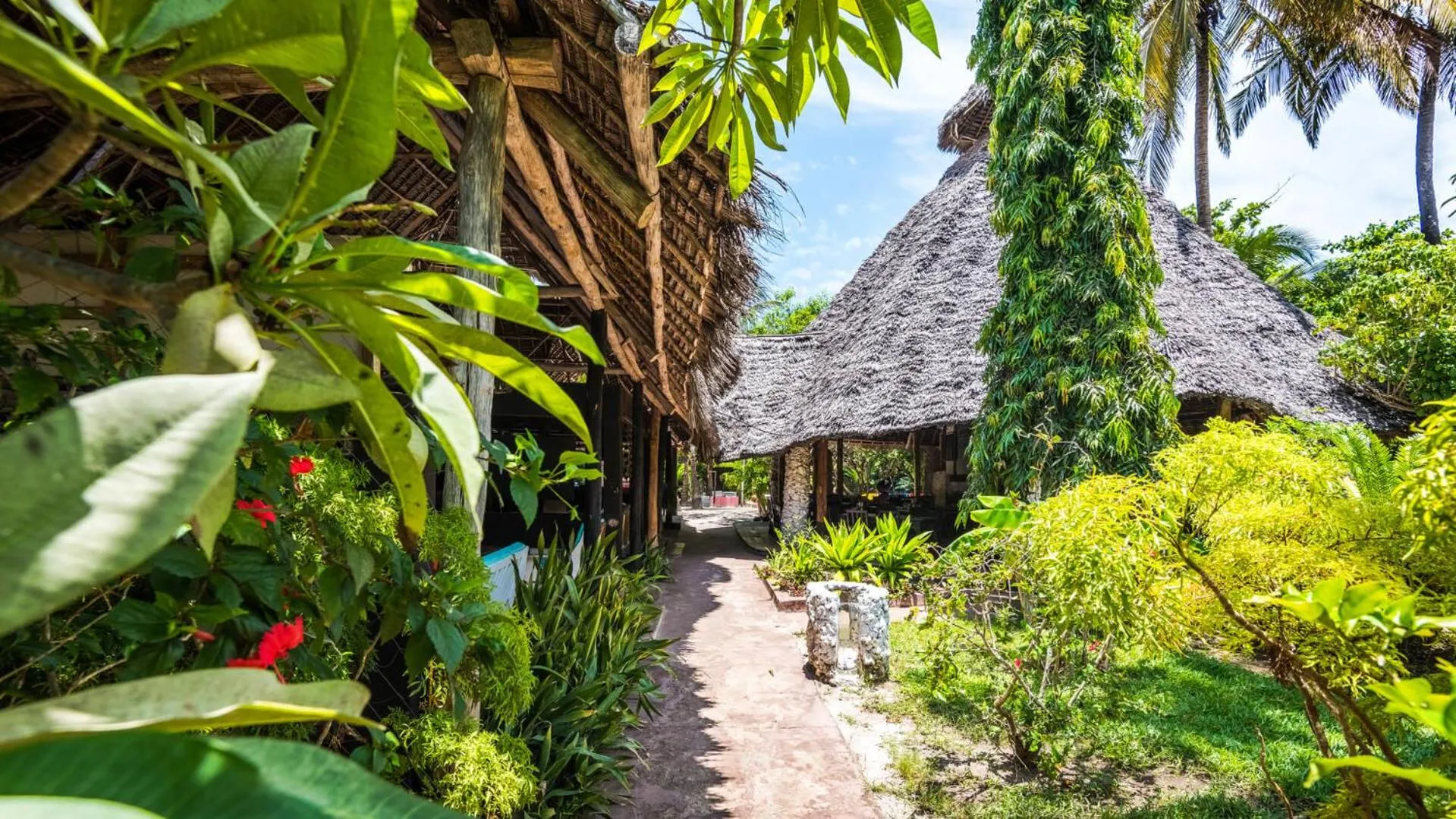 Restaurant/places to eat in Paje By Night Bungalows