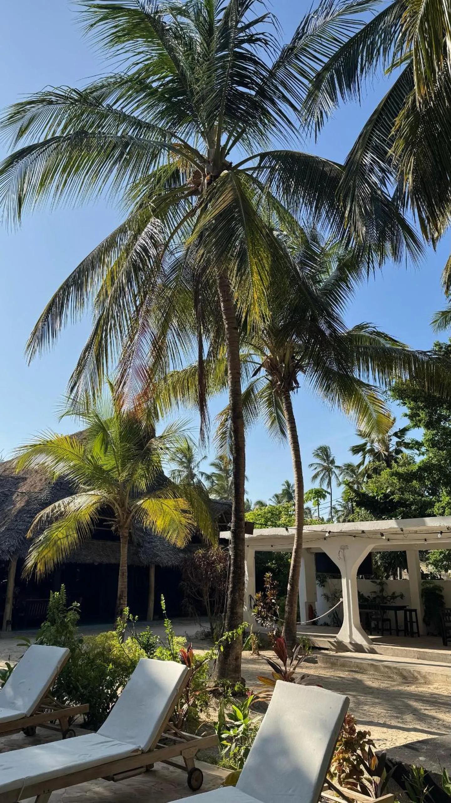 Property building in Paje By Night Bungalows