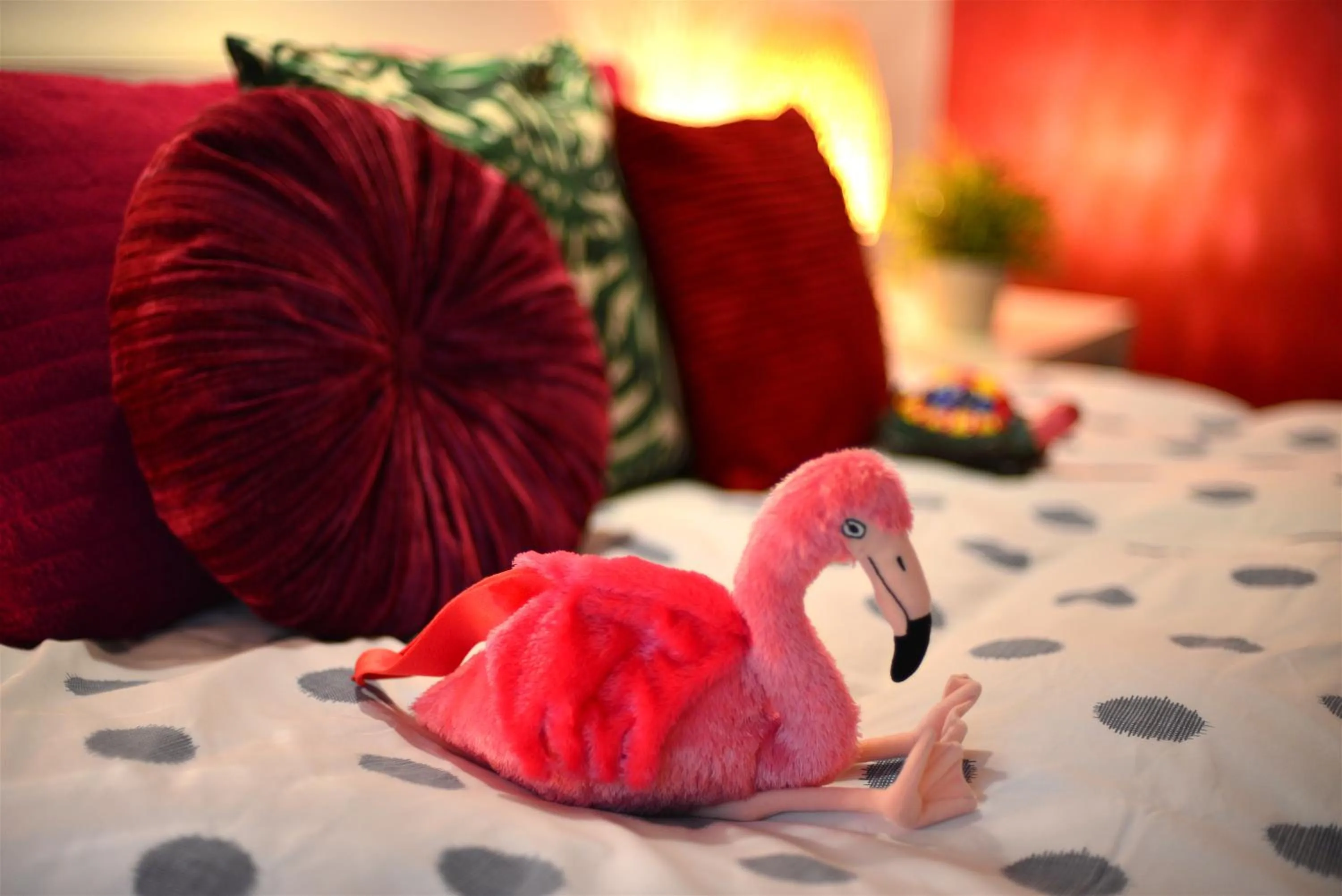 Bedroom, Bed in Hotel Biscuit