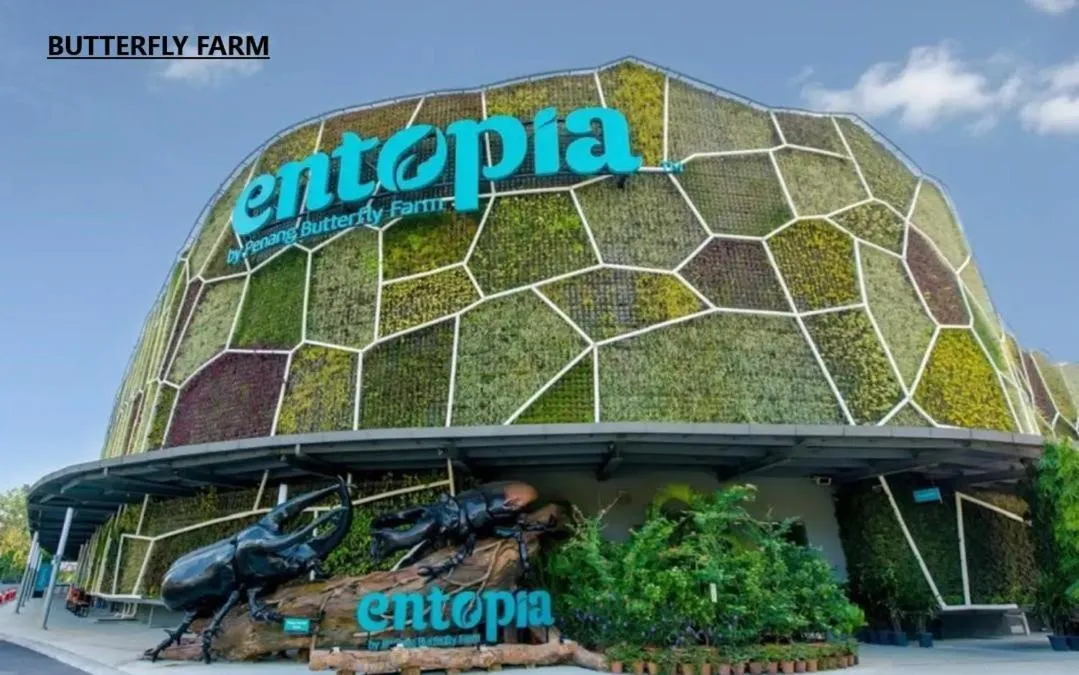 Off site in Scotland 18 Lodge