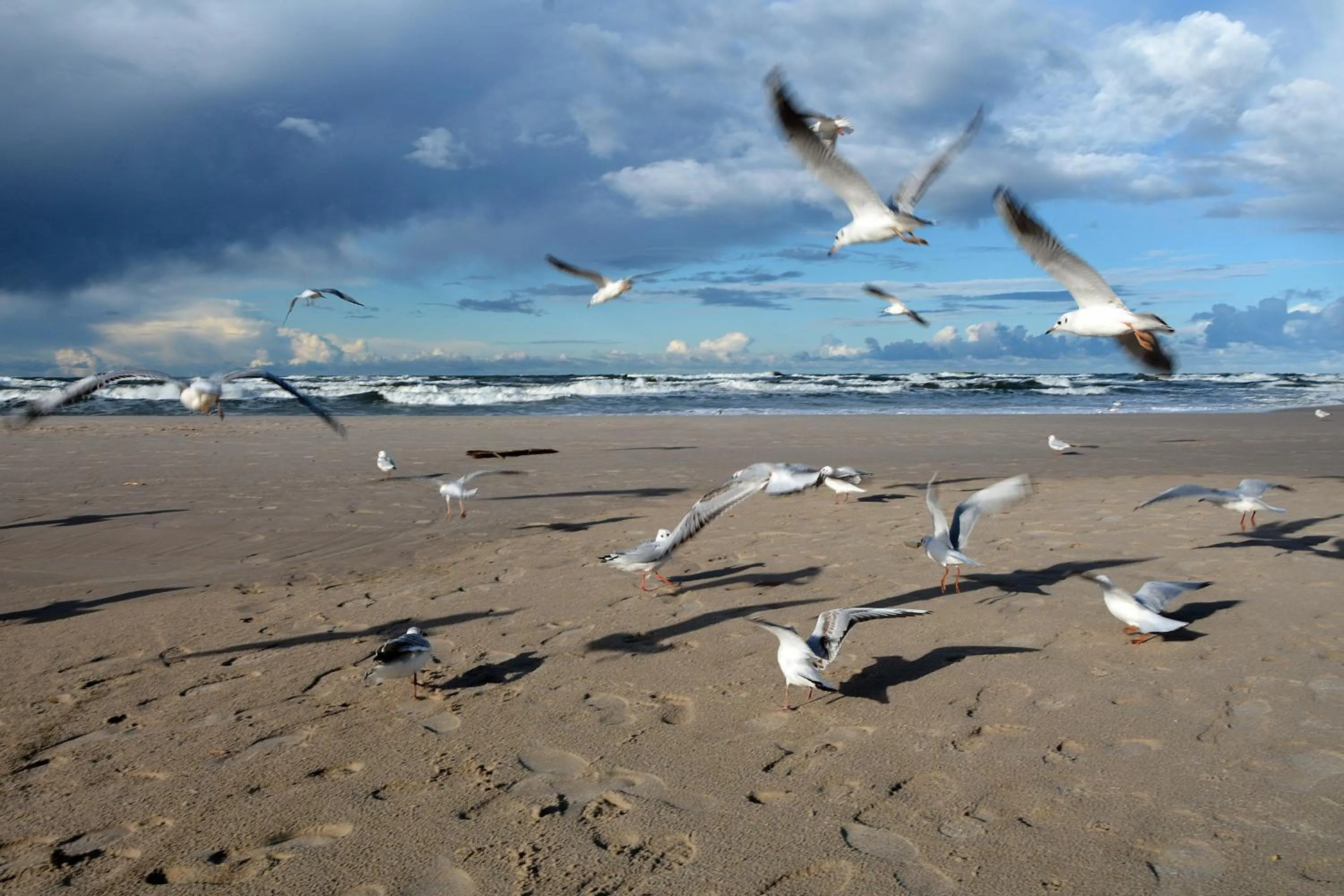 Beach in Willa Victor - Widok Na Morze - Najpiekniejszy w Polsce - Śniadanie w Cenie