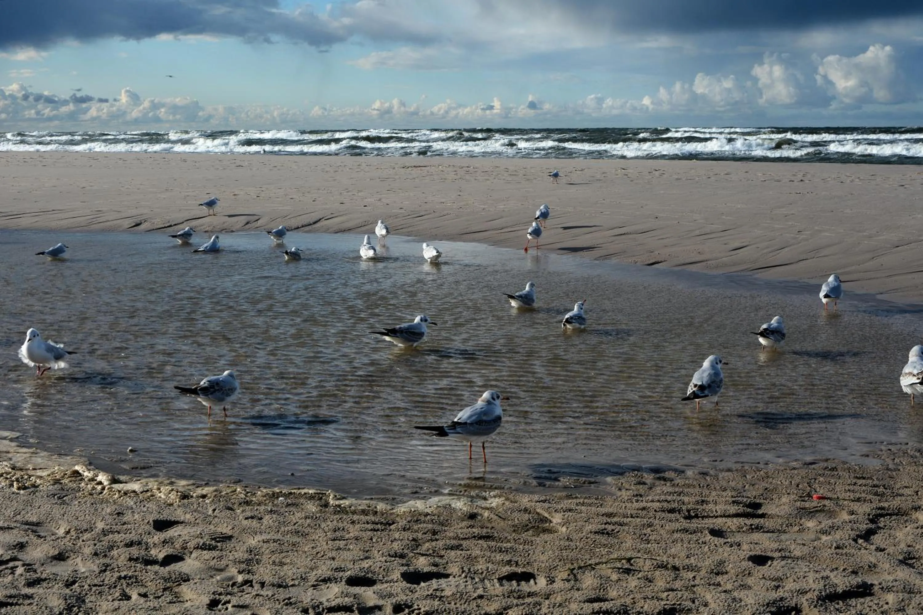 Beach in Willa Victor - Widok Na Morze - Najpiekniejszy w Polsce - Śniadanie w Cenie