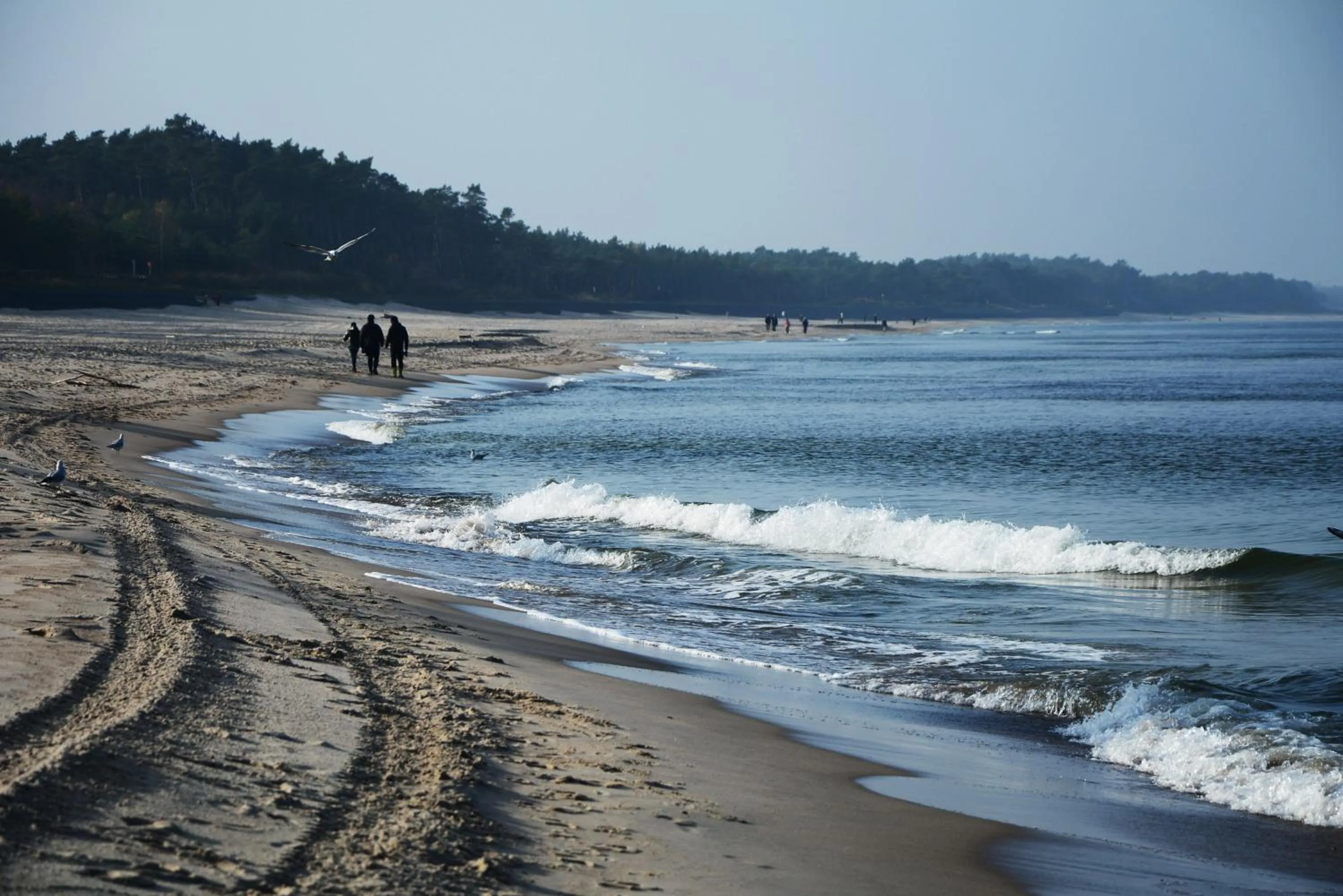 Beach in Willa Victor - Widok Na Morze - Najpiekniejszy w Polsce - Śniadanie w Cenie