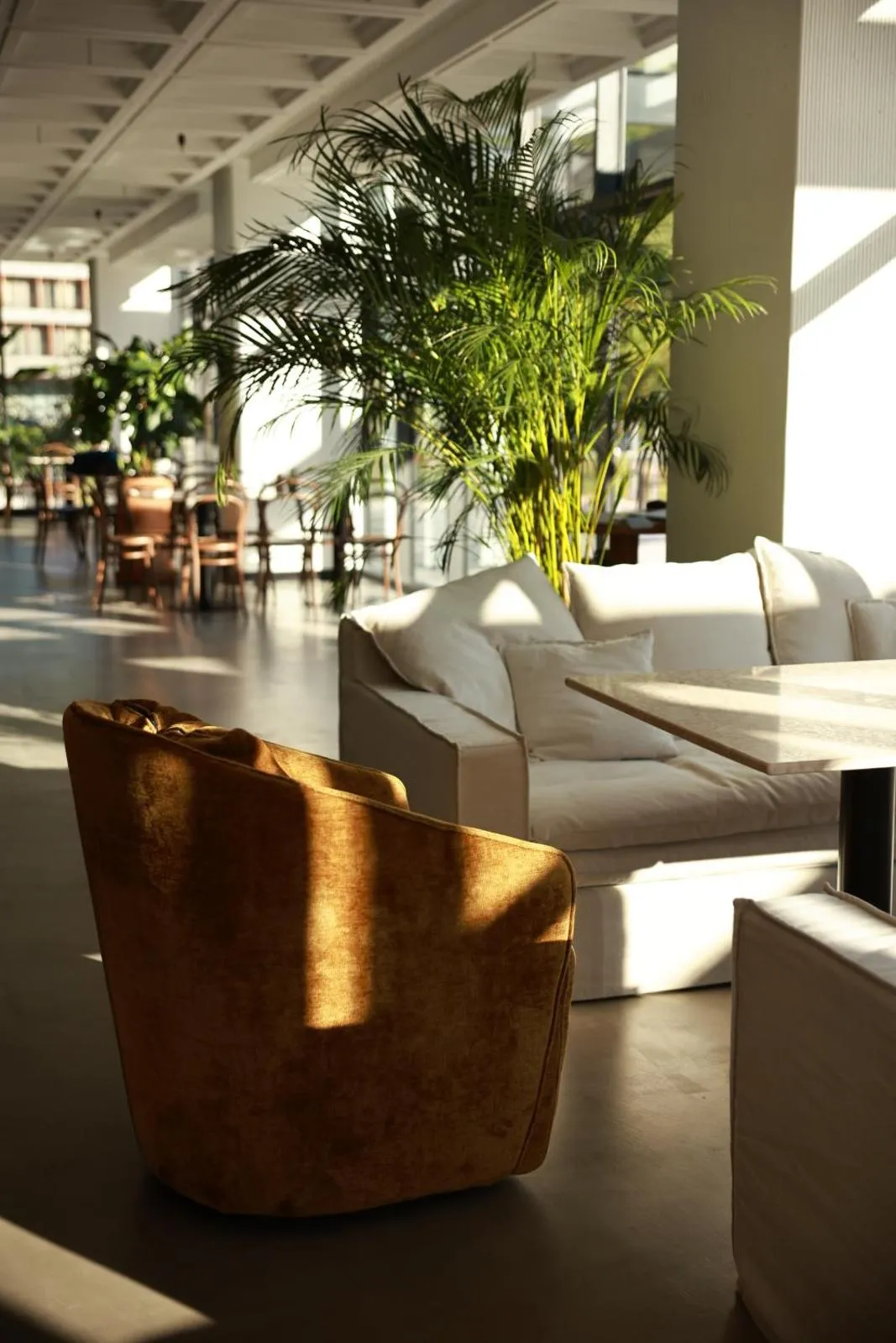 Restaurant/places to eat in Kvareli Lake Resort