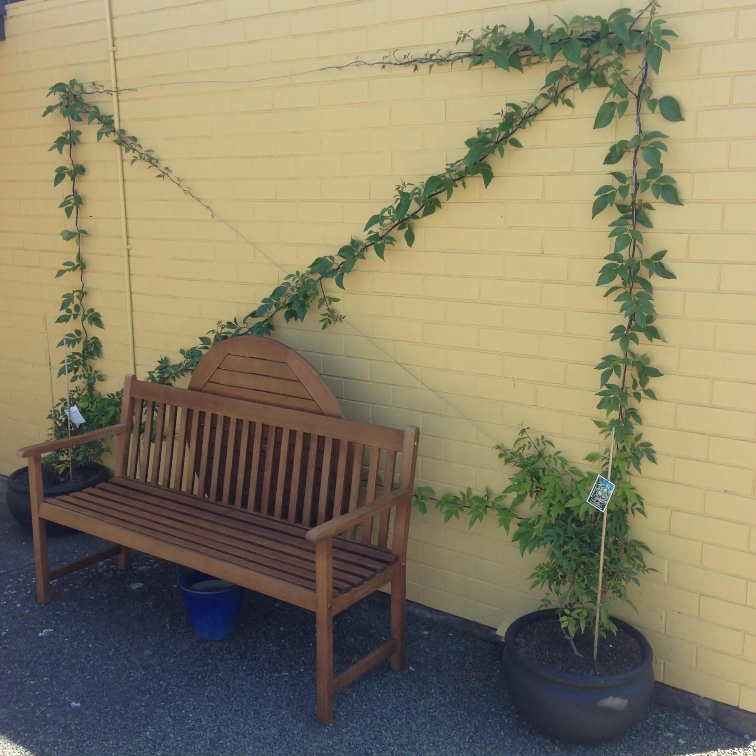 Garden in Mount View Motel Hawera