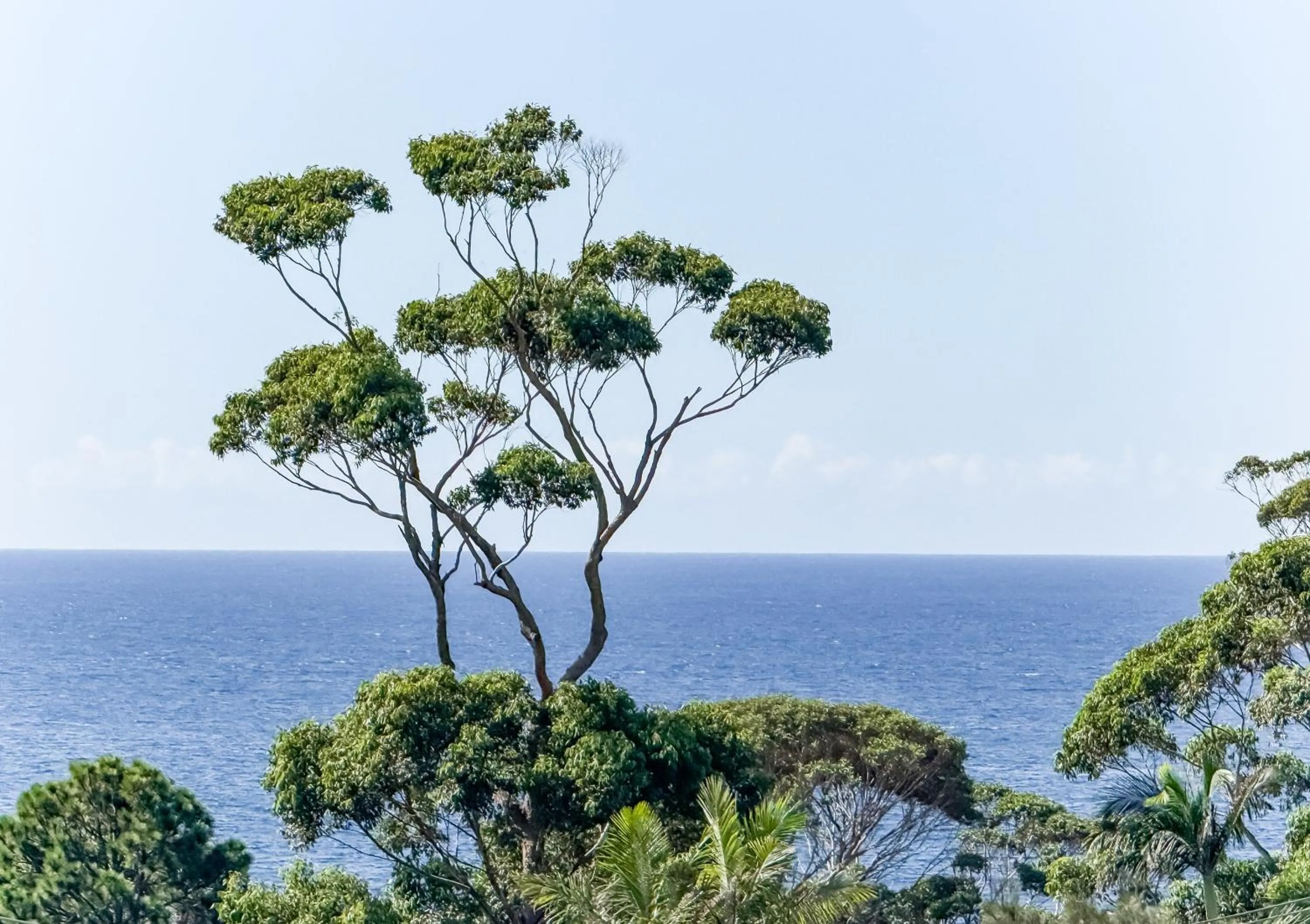 Sea view in Mollymook Motel