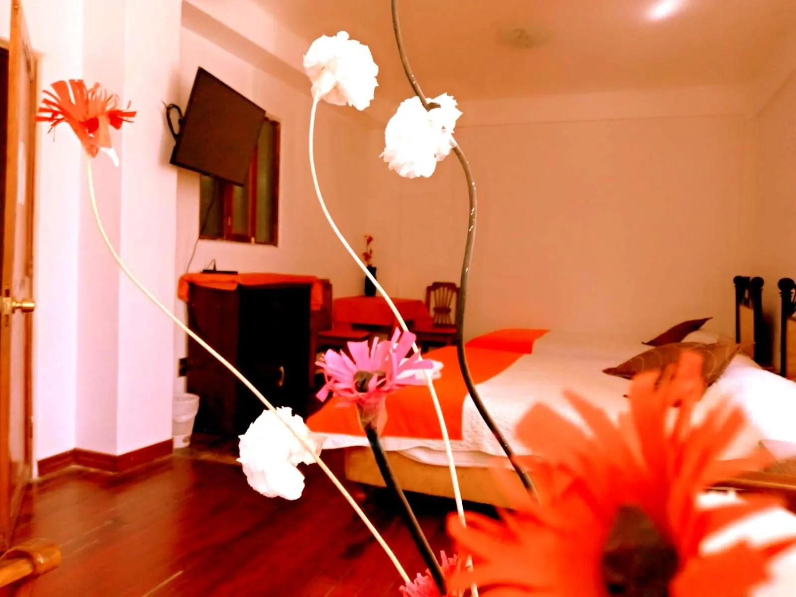 Photo of the whole room in Hotel Avenida