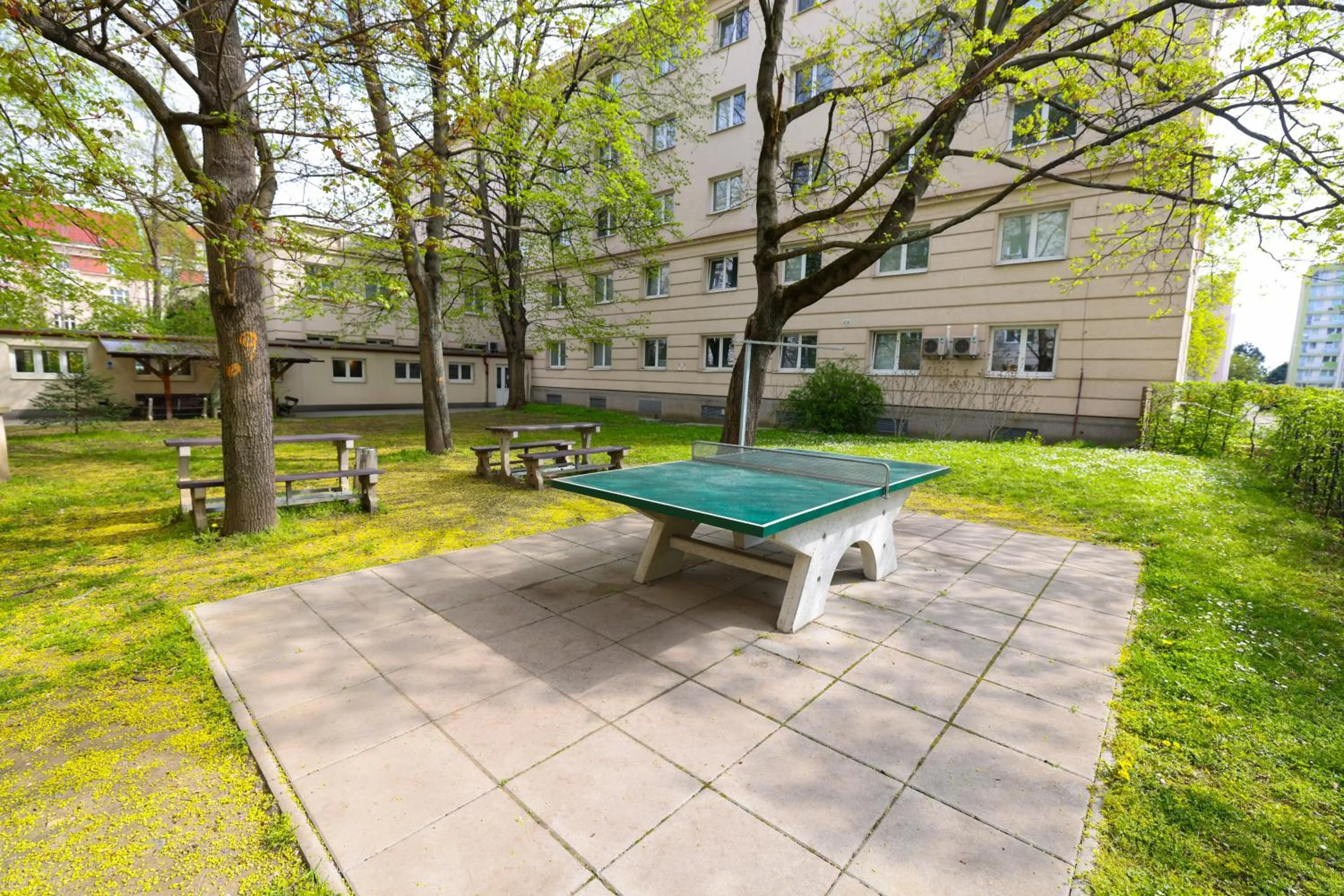 Garden in University Hotel