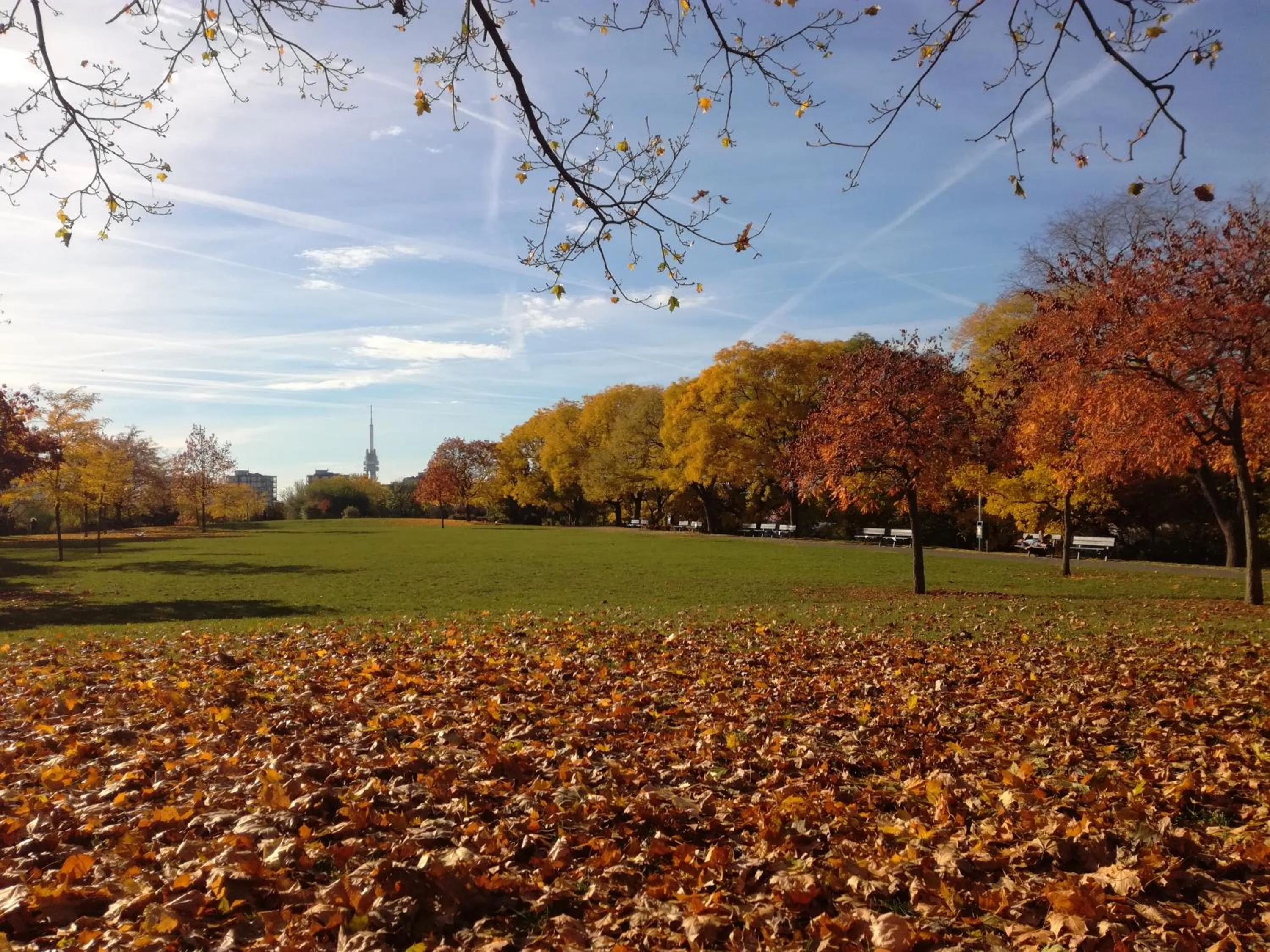 Neighbourhood in University Hotel