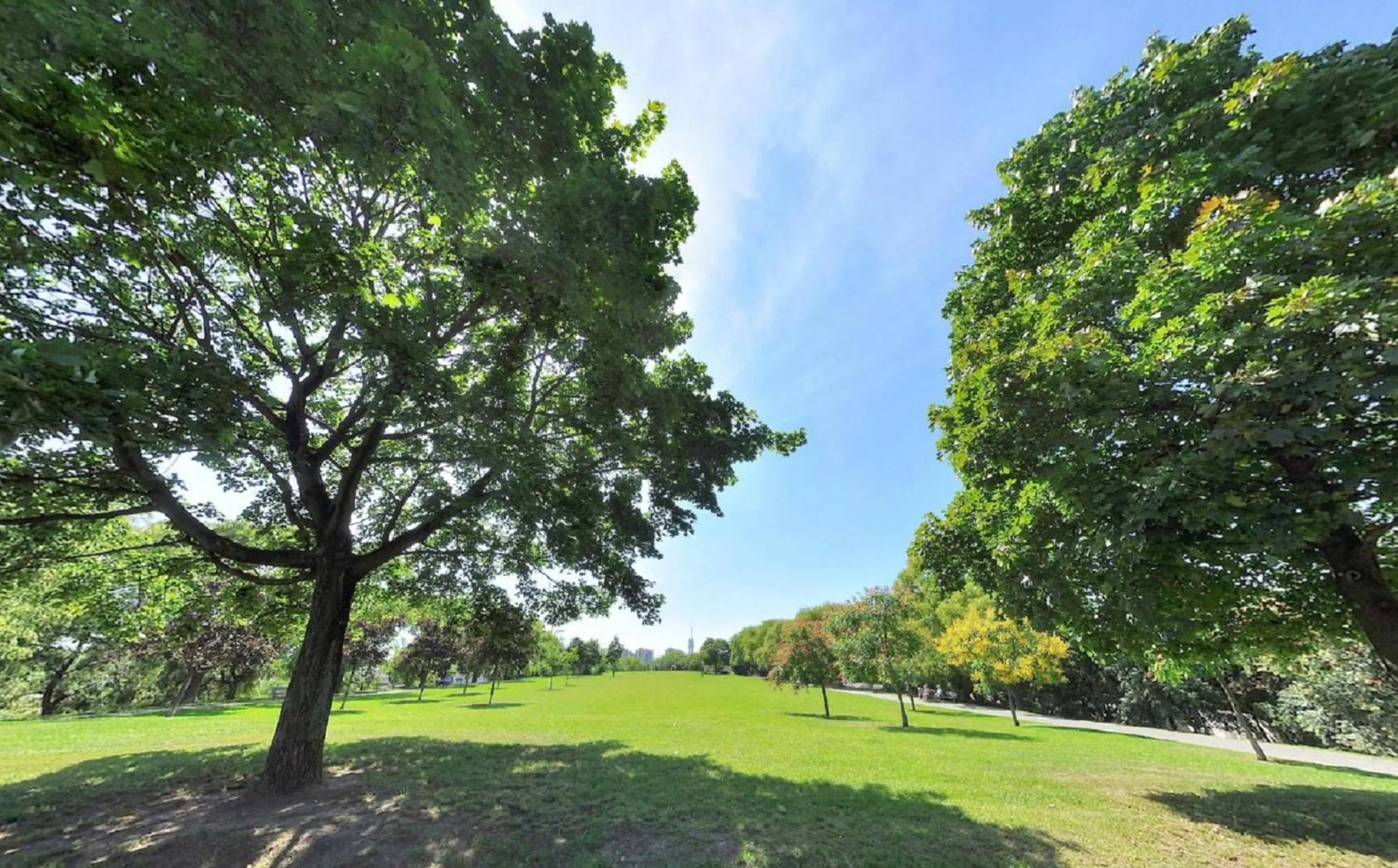Nearby landmark in University Hotel